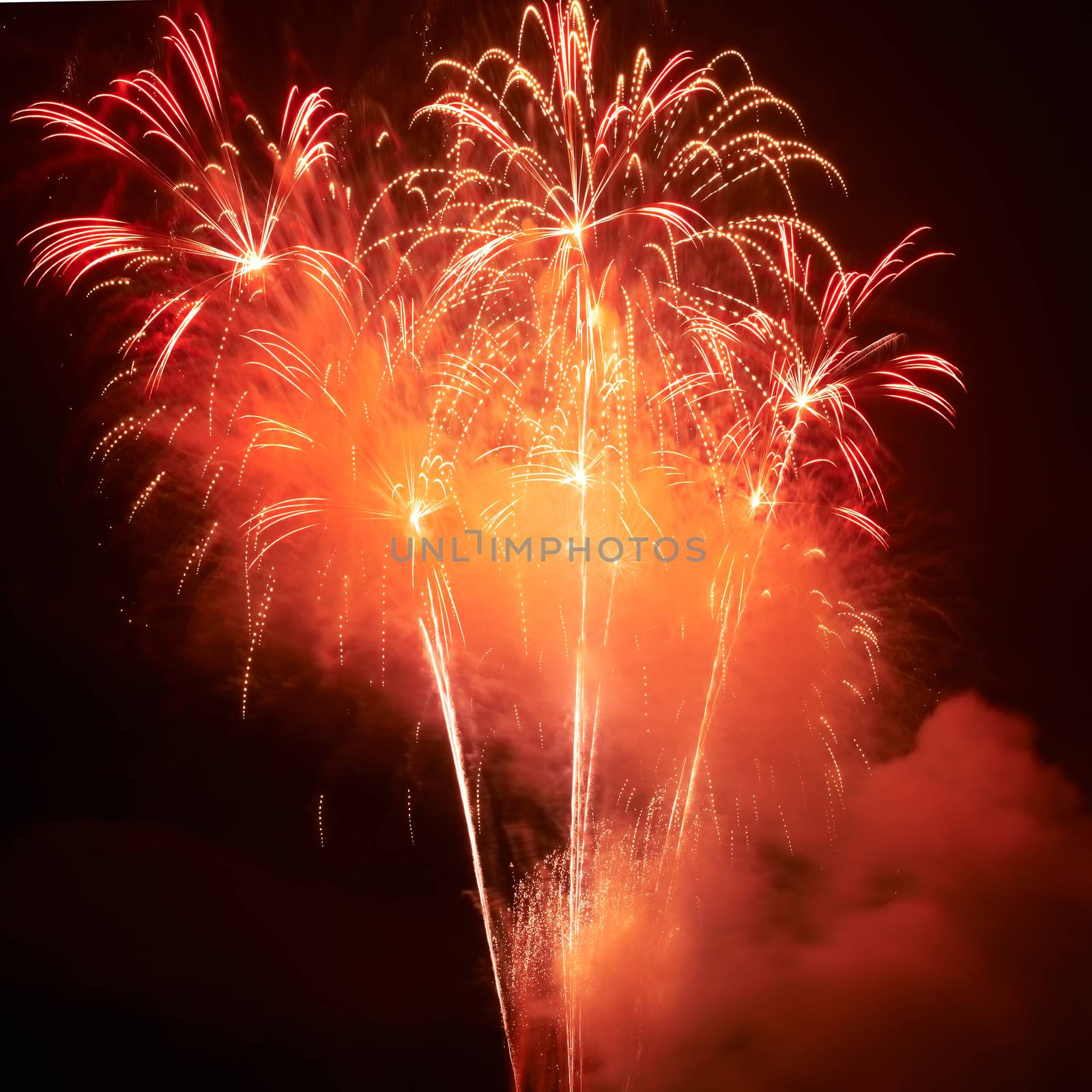 Red colorful fireworks on the black sky background