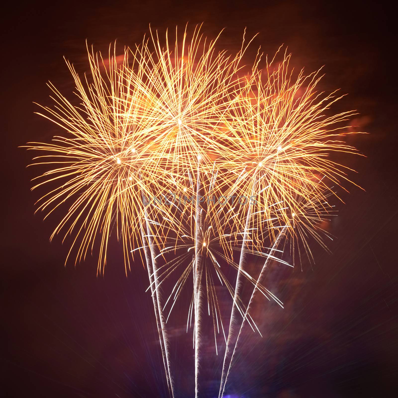 Red colorful fireworks on the black sky background