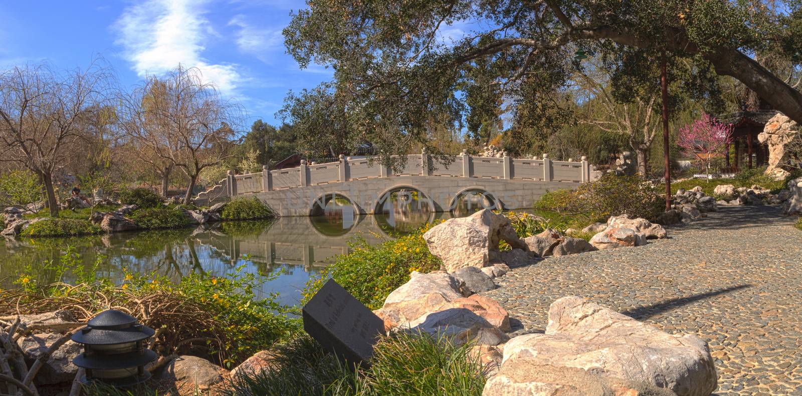 Chinese garden at the Huntington Botanical Garden and Library in Los Angeles