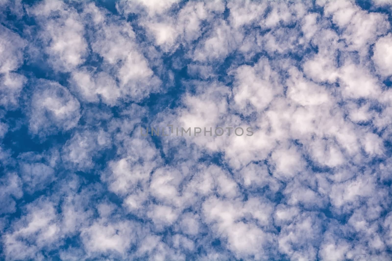 blue sky background with a tiny clouds