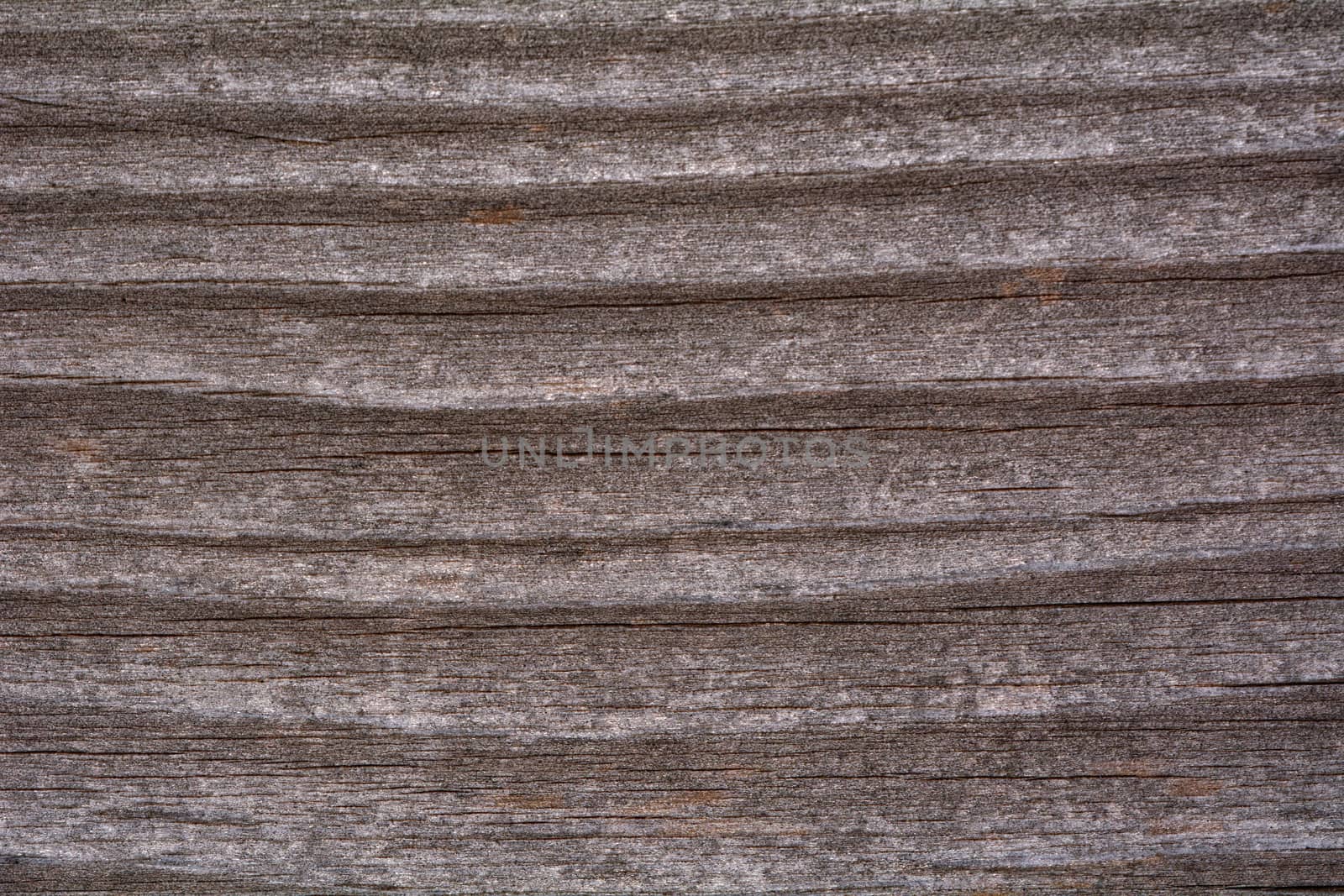 Nice old wood texture from big beam