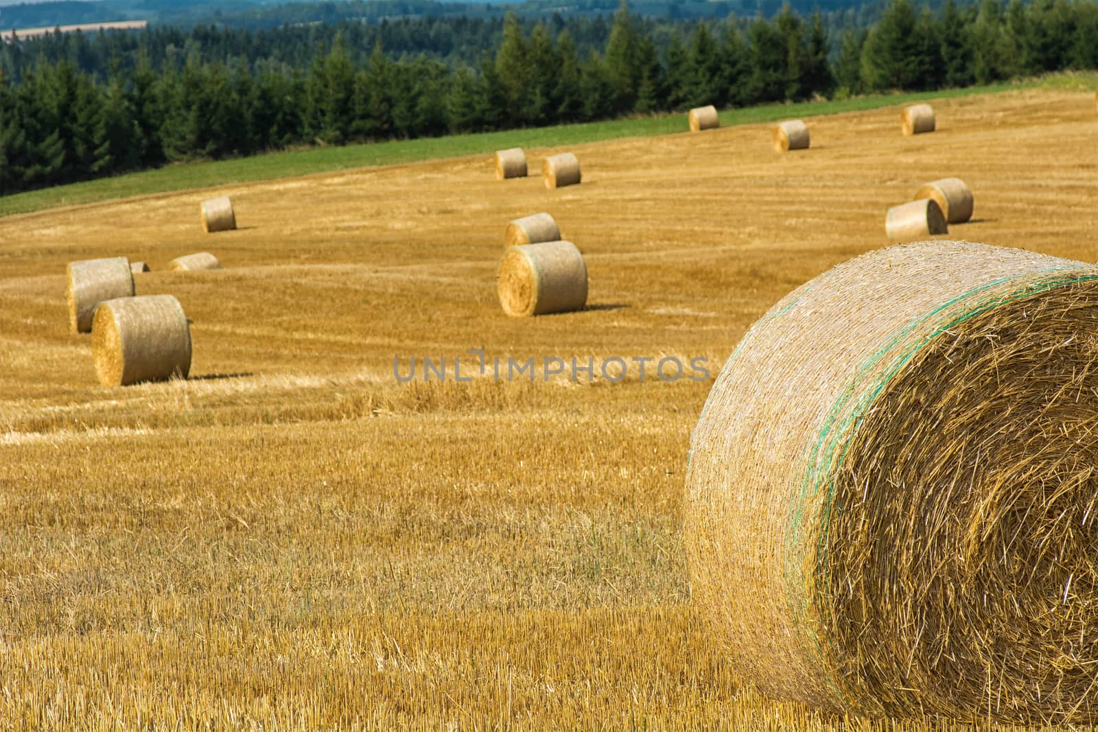 Mowed cornfield with straw bales and mountains in background