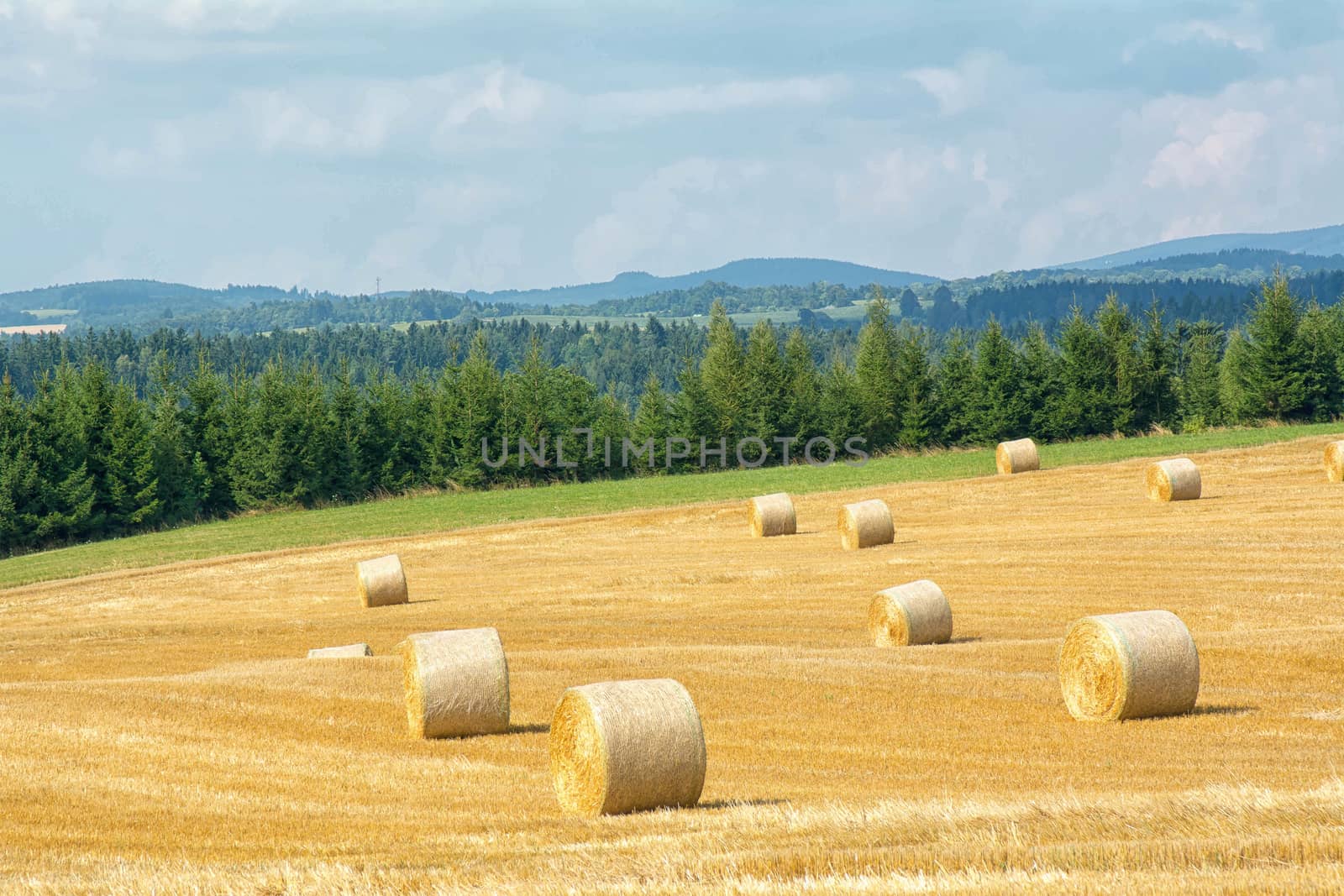 Mowed cornfield with straw bales and mountains in background