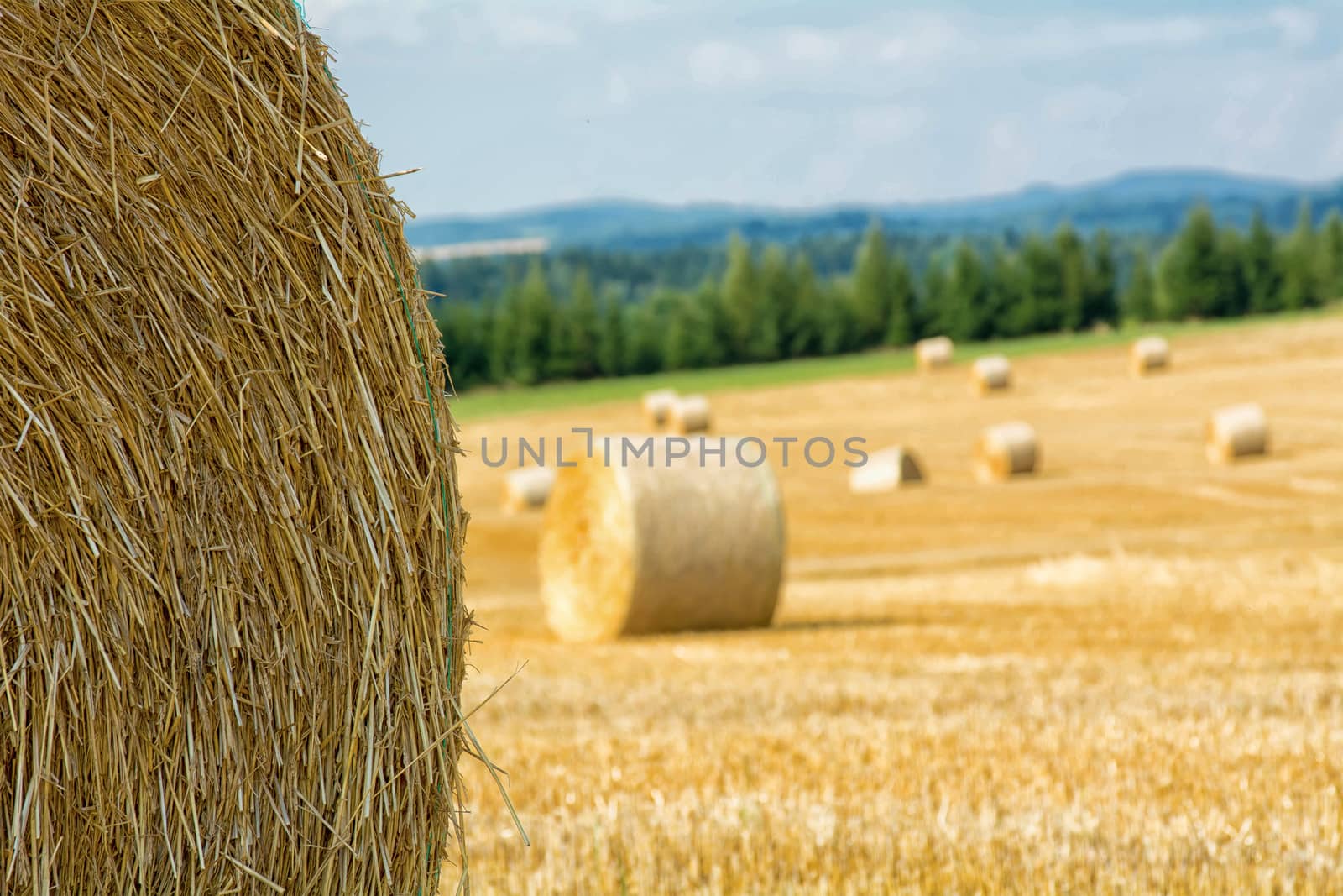 Mowed cornfield with straw bales and mountains in background