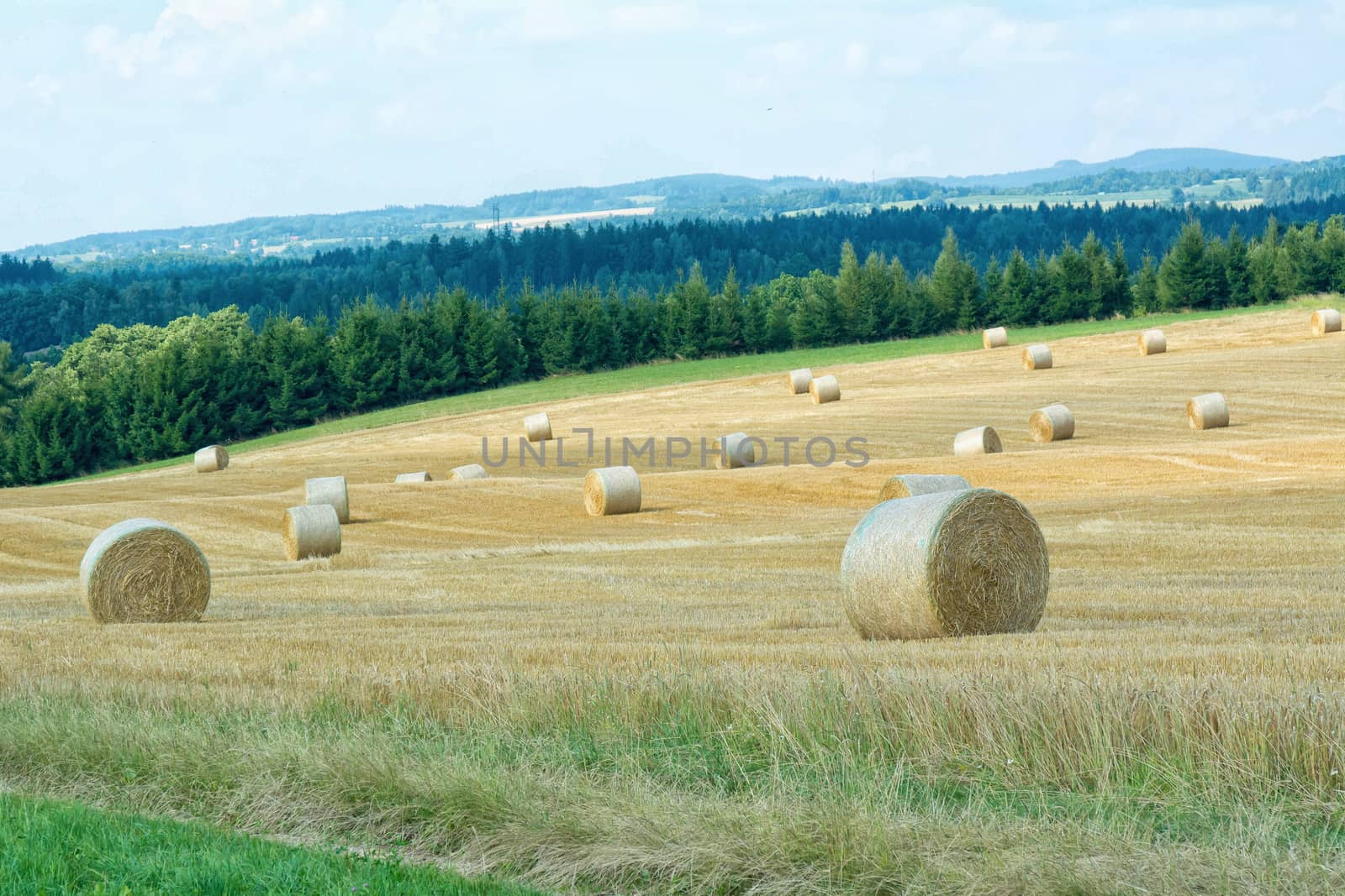 Mowed cornfield with straw bales and mountains in background