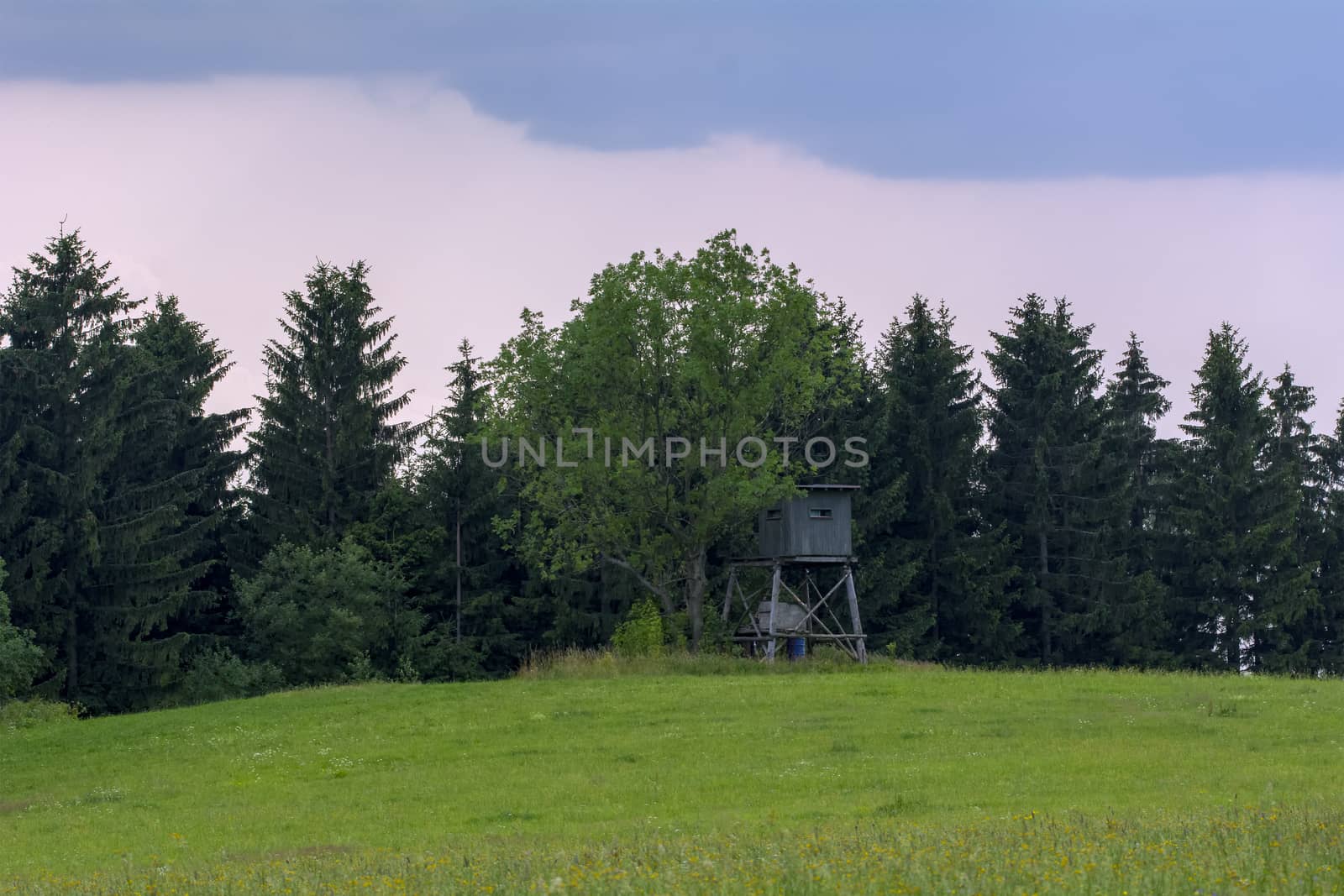 Hunting tree stand on the edge of the forest
