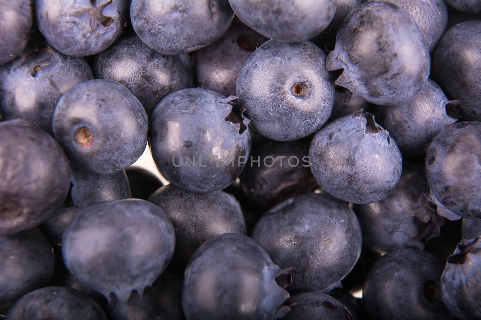 Freshly picked group of blueberries as creative background