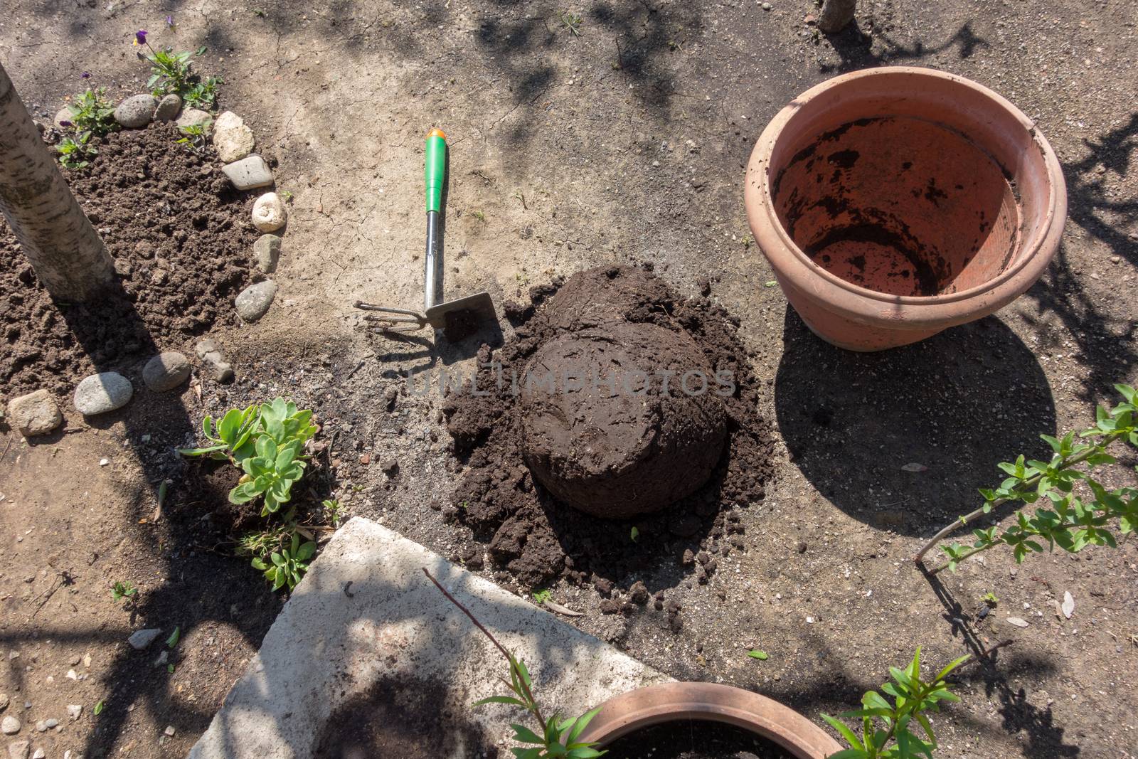 Flower pots, potting soil and plants