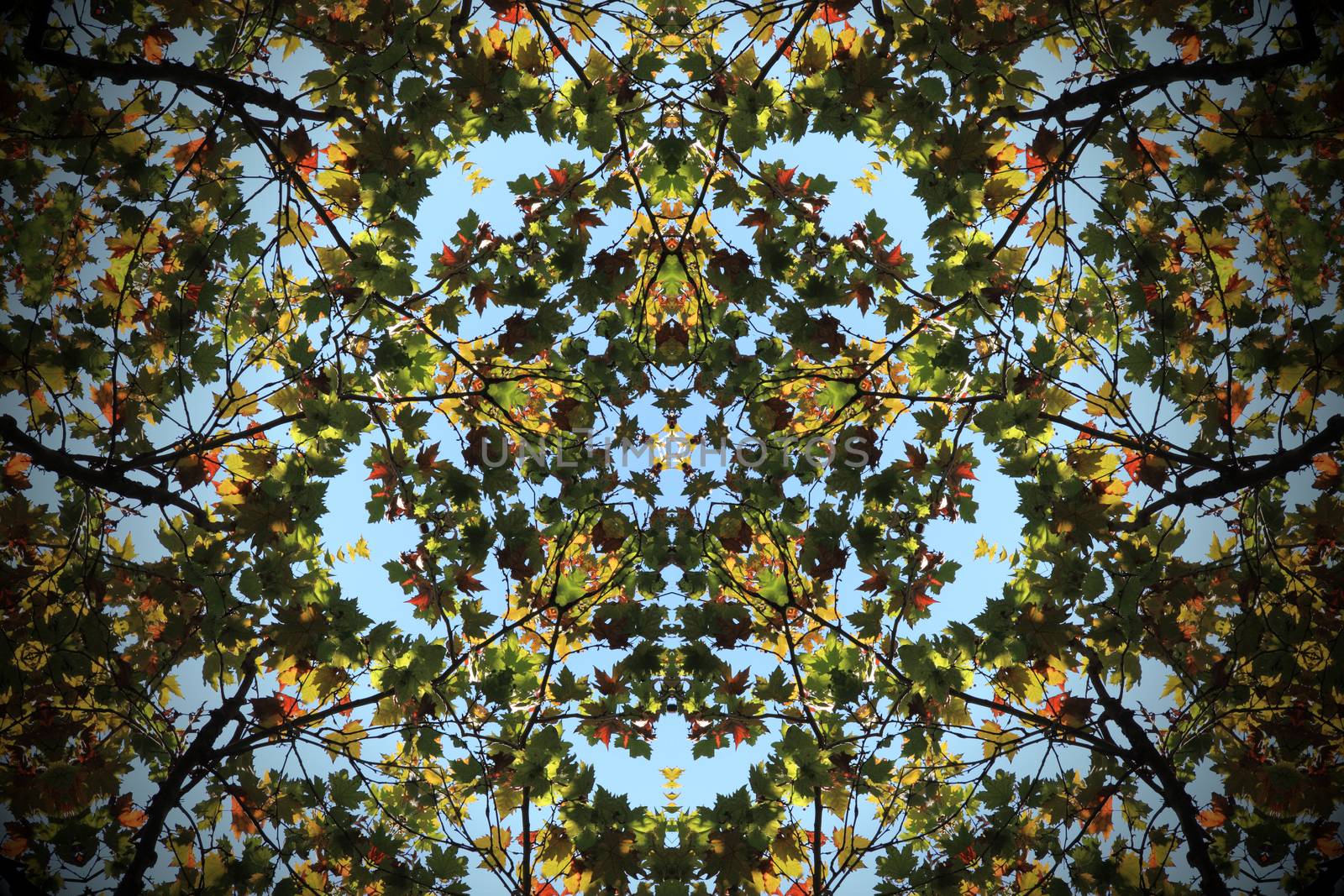 Fractal kaleidoscope background with images forming a star-shaped pattern