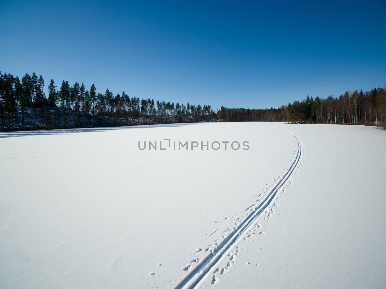 Cross country ski tracks by thomas_males
