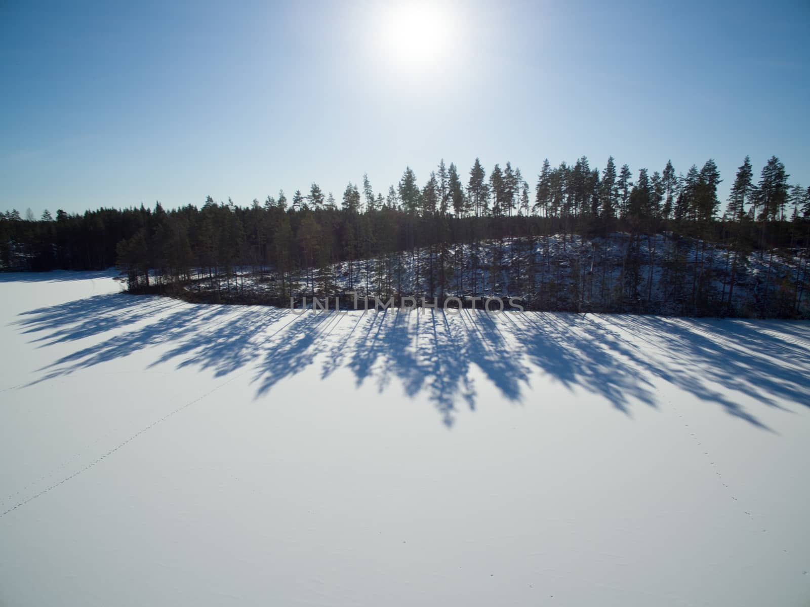 Winter sun is low but bright thanks to the reflection on the snow