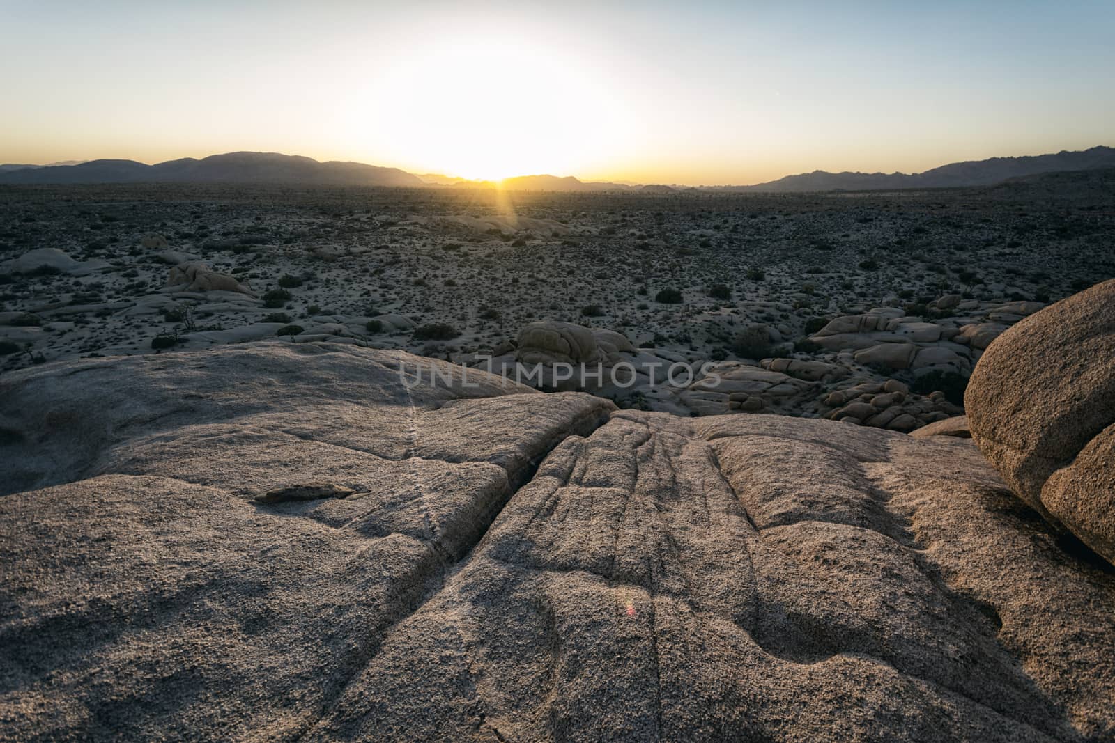 Landscape in Joshua Tree National Park, California