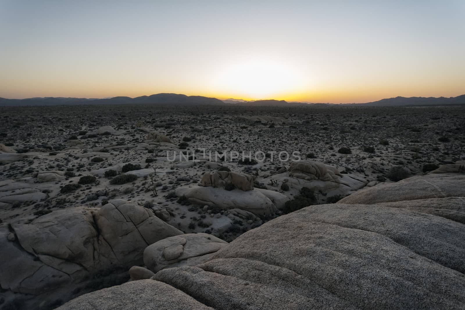 Landscape in Joshua Tree National Park, California