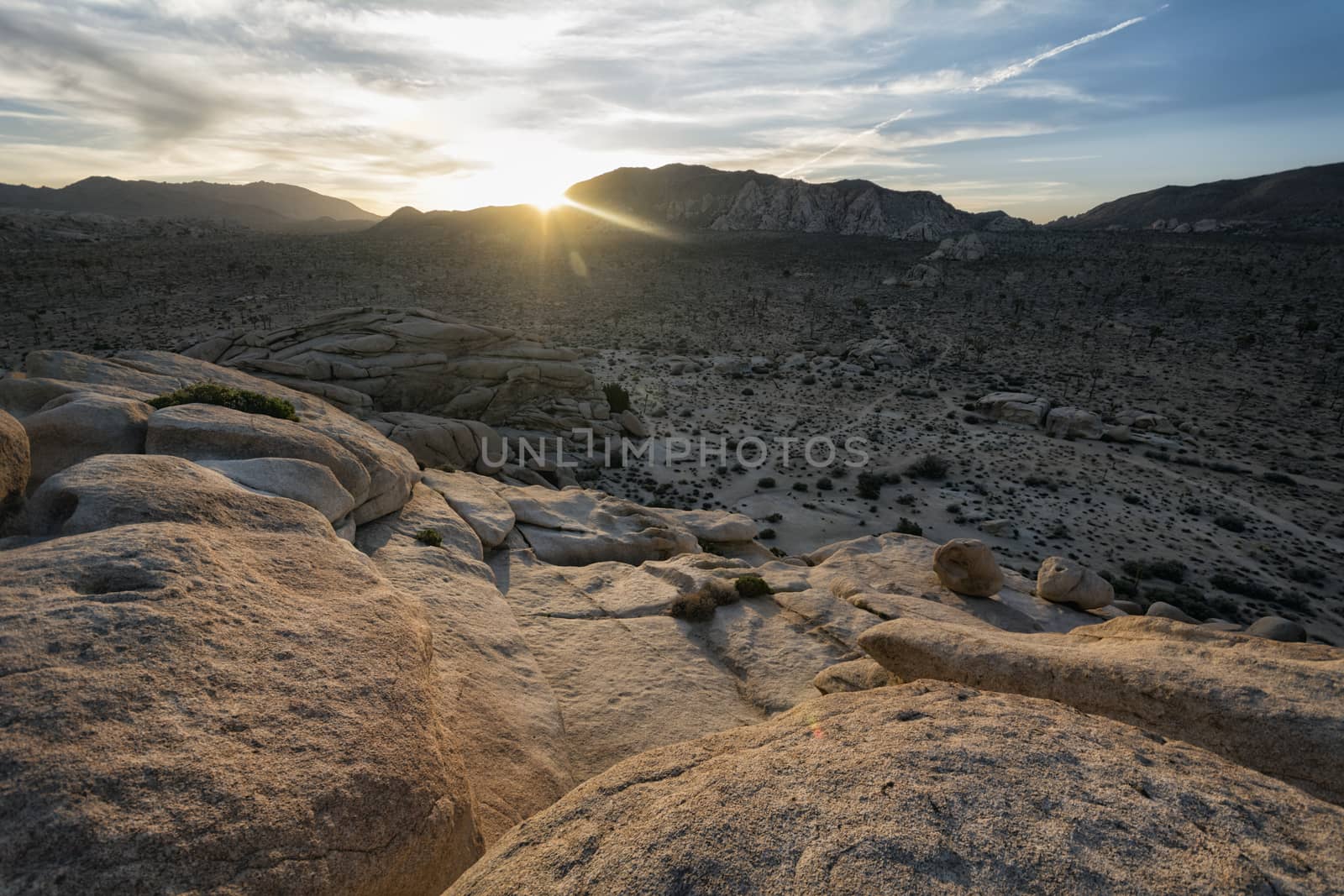 Landscape in Joshua Tree National Park, California