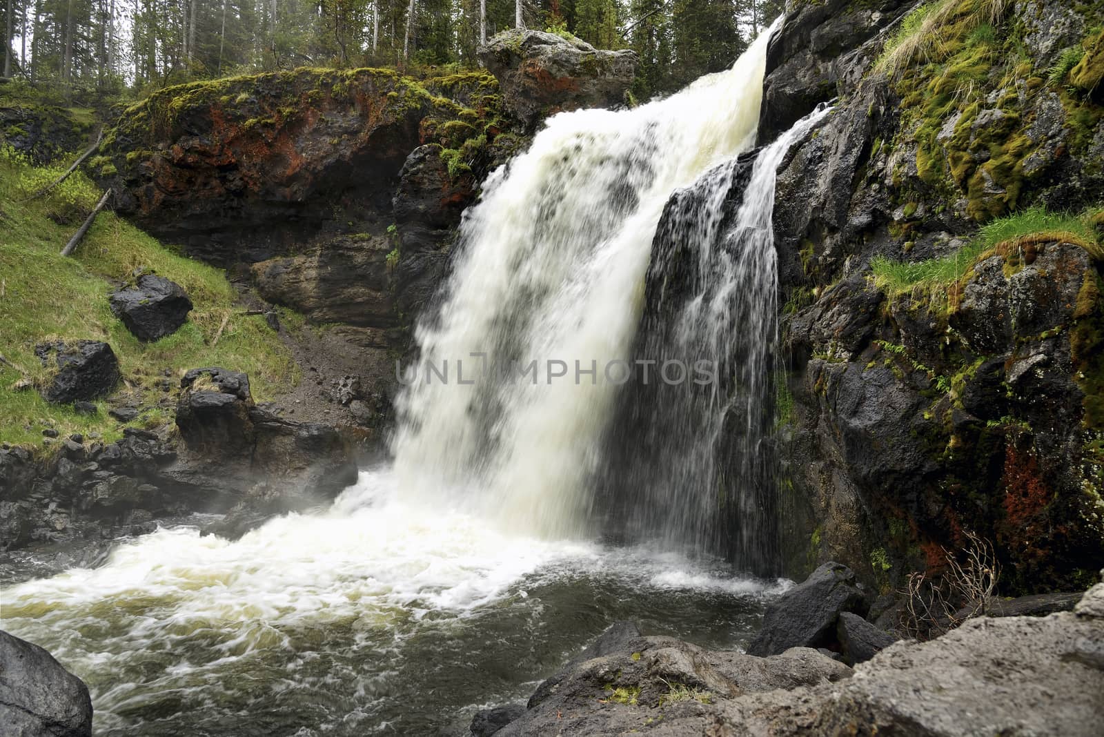 Moose Falls in Yellowstone National Park. Small waterfall near the southern park gates of Yellowstone.