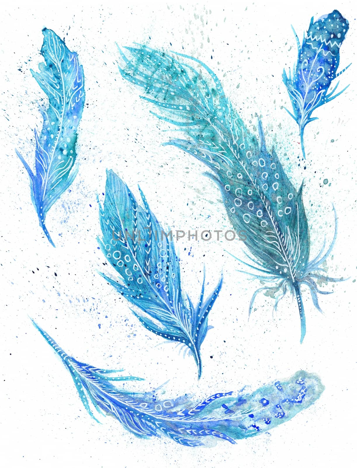Turquoise watercolor ornamental feather set painting on white background