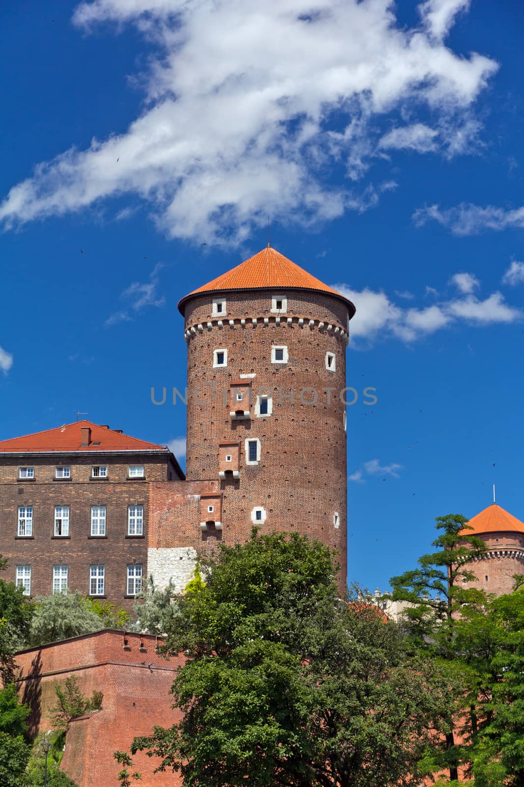 view on Wawel  Royal Castle with Sandomierska tower in Cracow in Poland