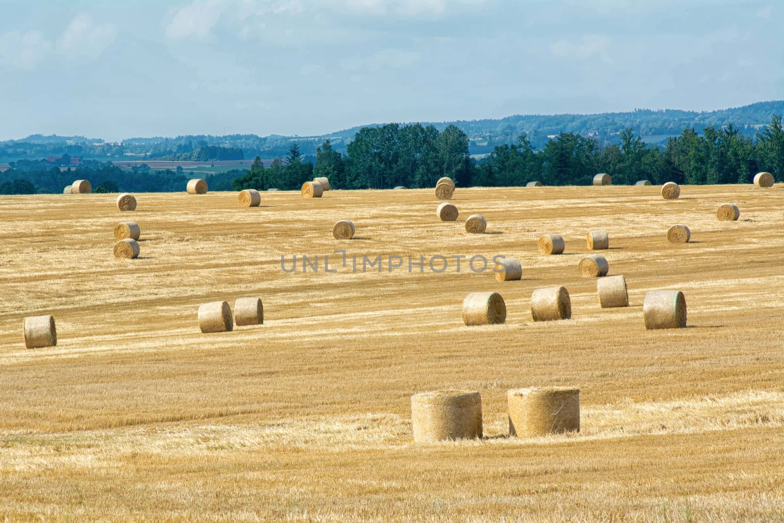 Mowed cornfield with straw bales and mountains in background