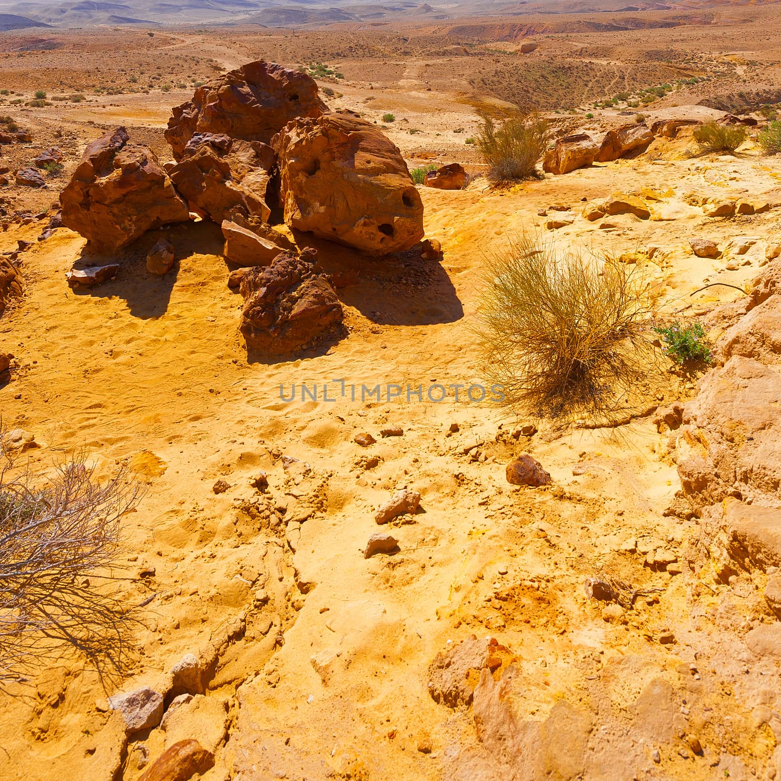 Desert by gkuna