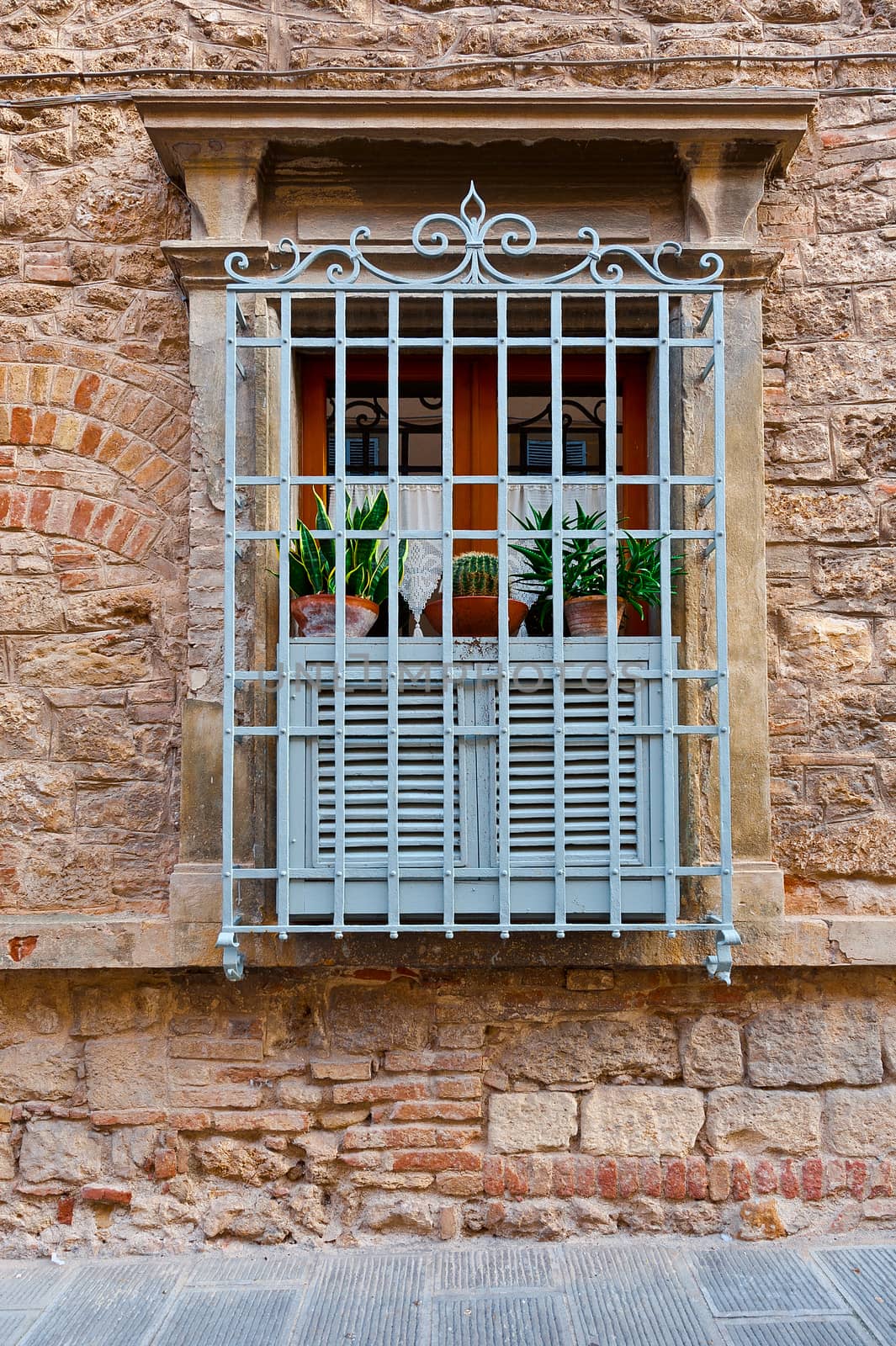 Italian Window Decorated with Cacti