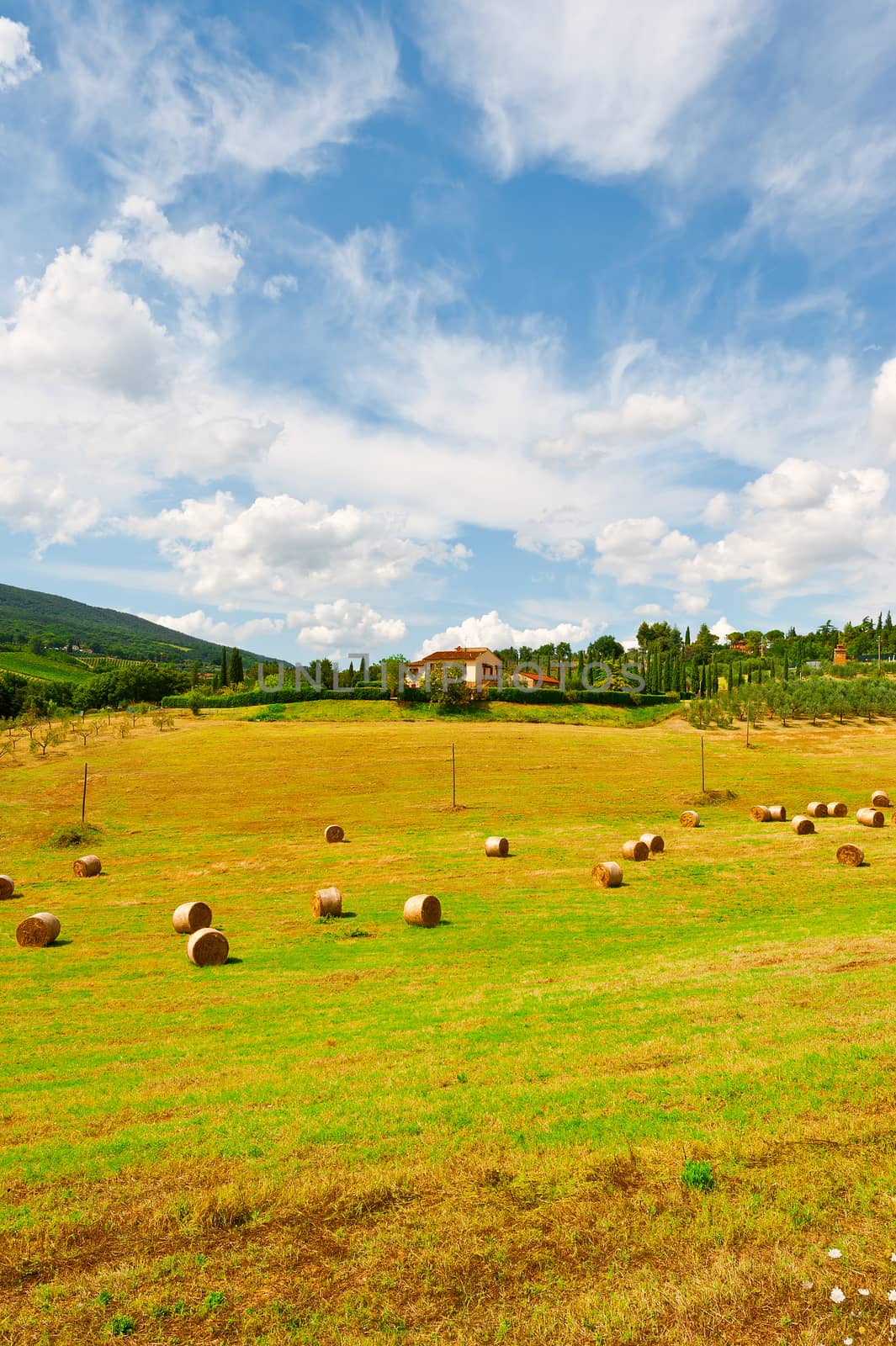 Tuscany Landscape with Many Hay Bales on the Background of the Italian Village