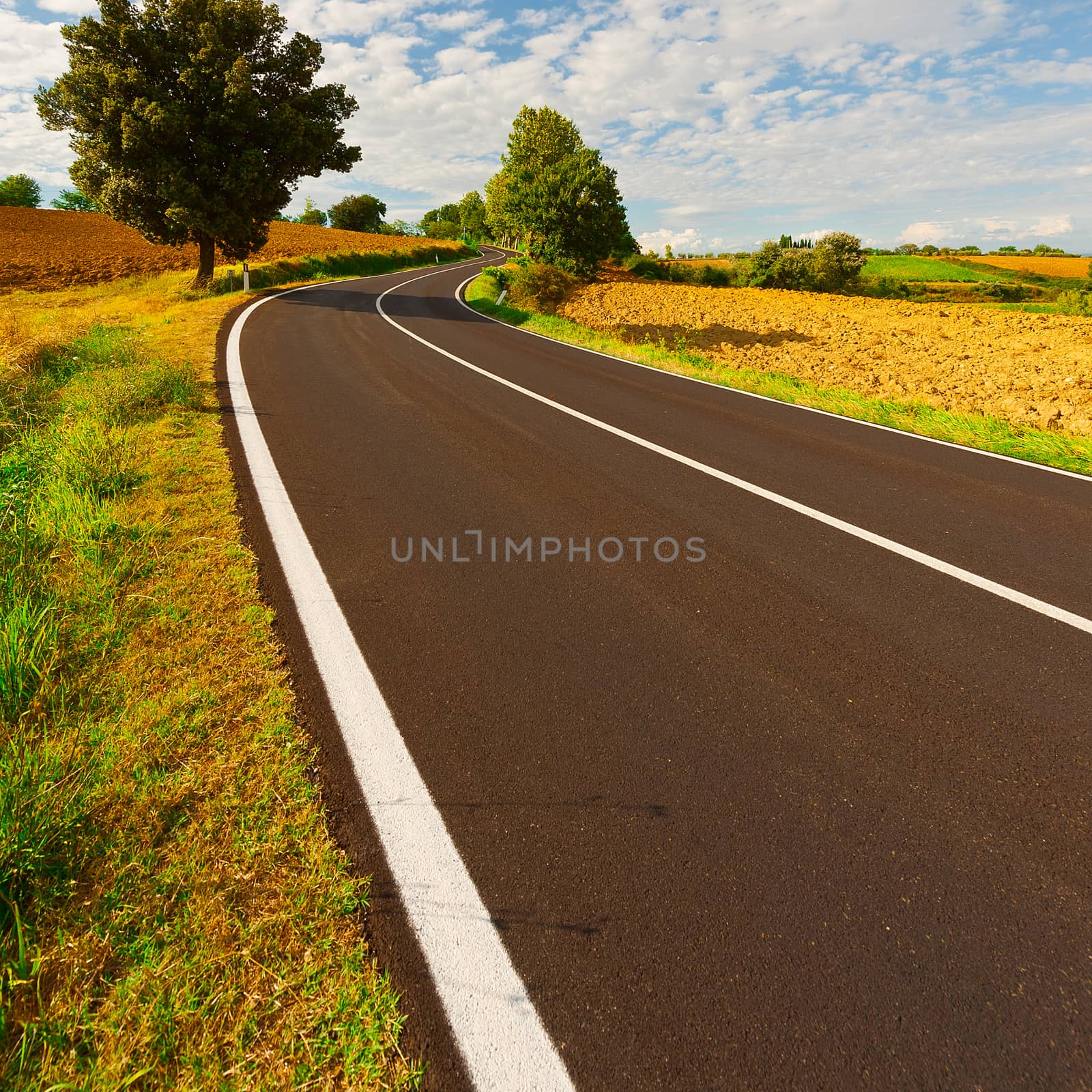 Winding Asphalt Road between Autumn Plowed Fields in the Tuscany