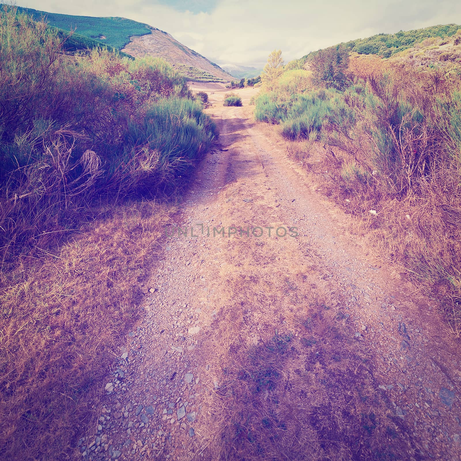 Dirt Road by gkuna