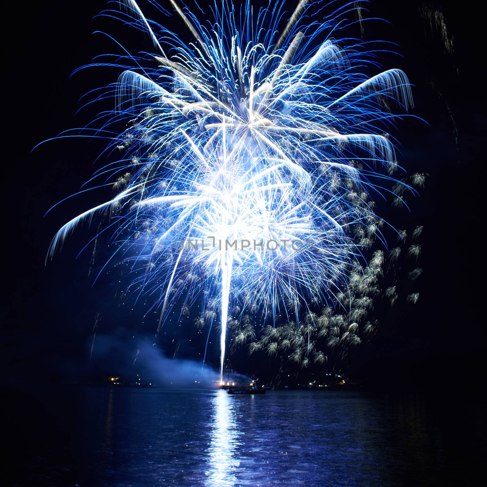 Blue colorful fireworks on the black sky background