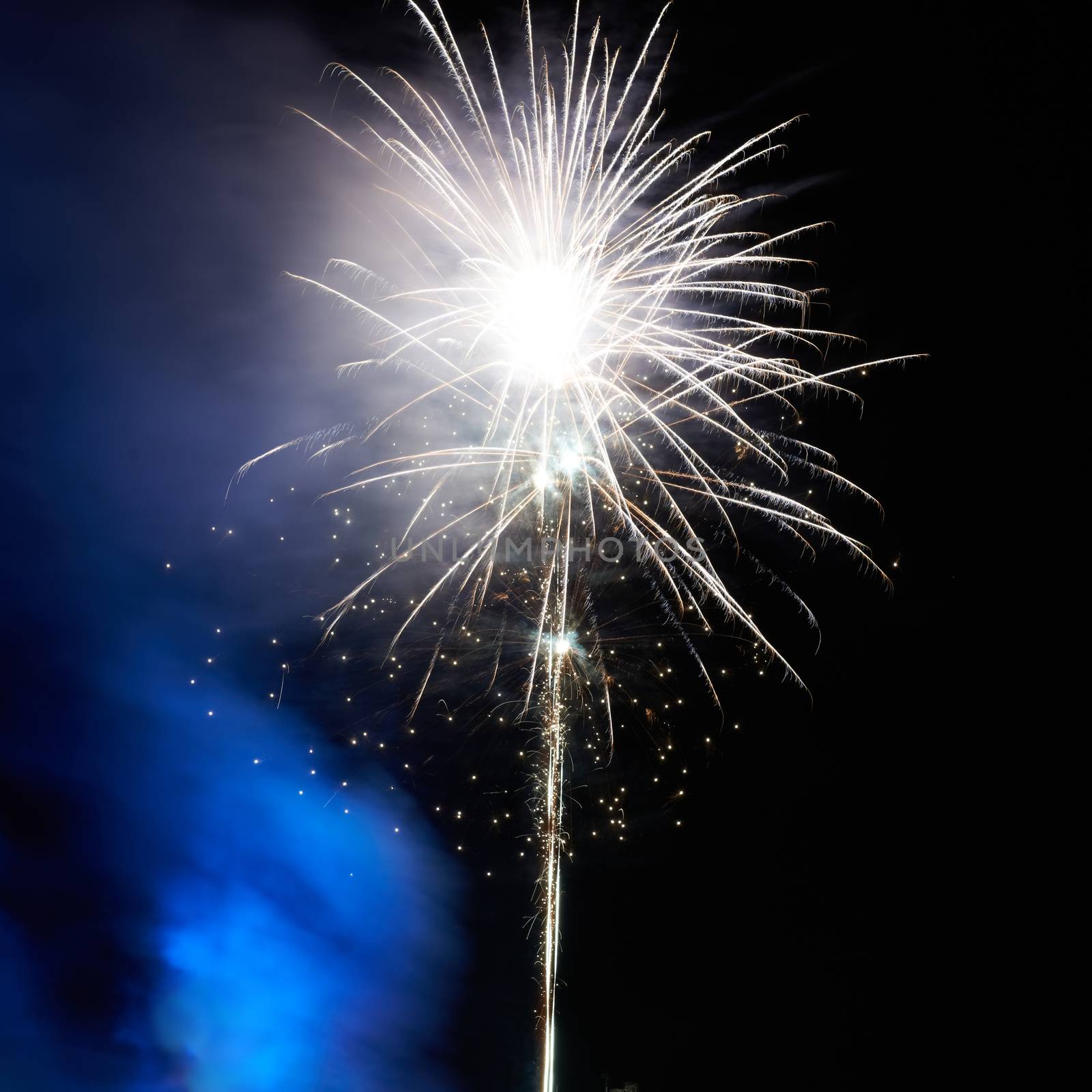 Colorful fireworks on the black sky background