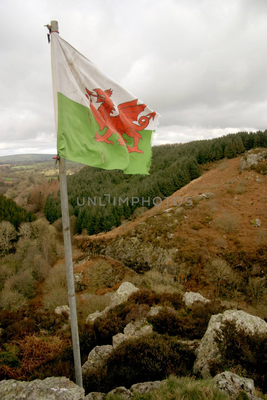 A flag on the top of a Welsh hill.