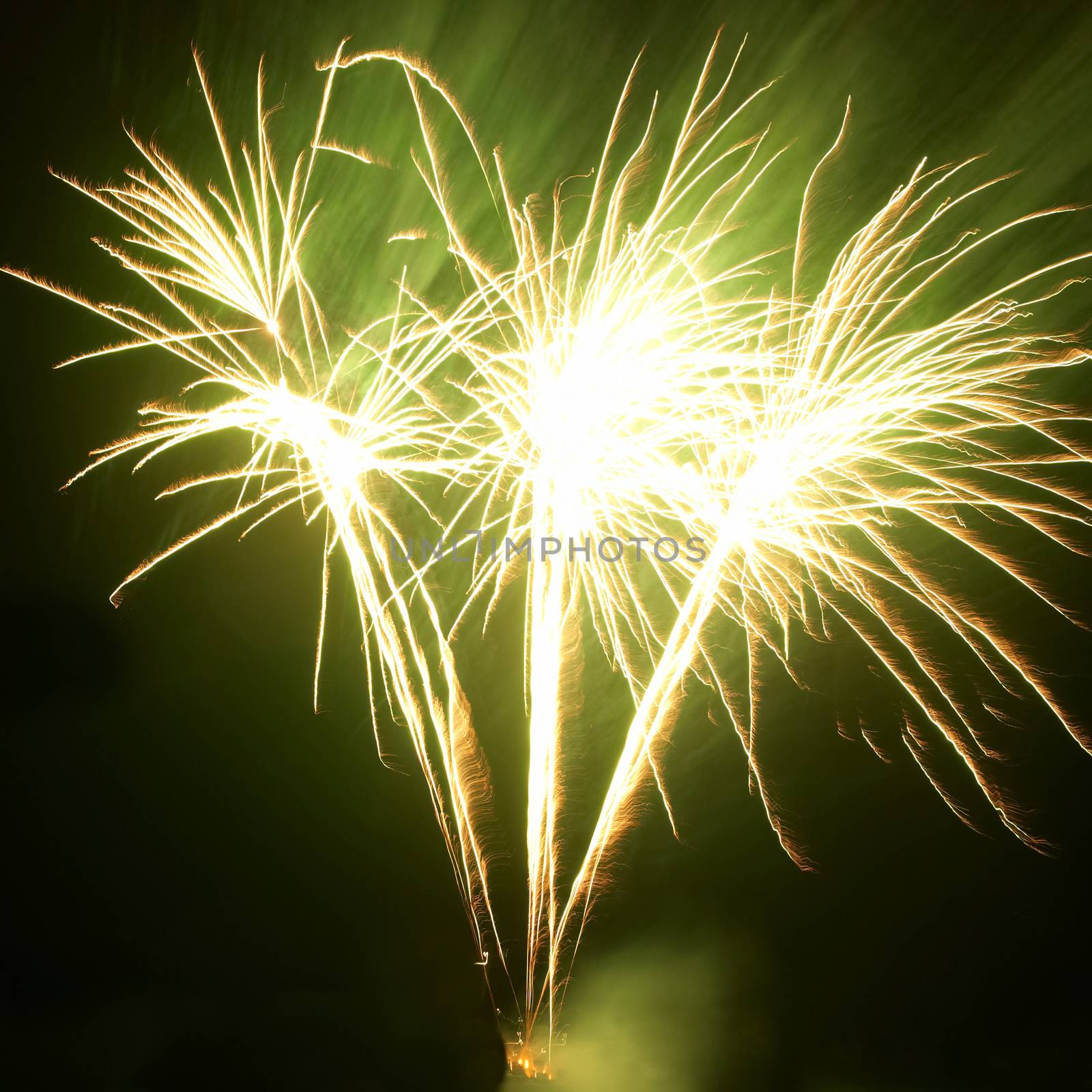 Colorful fireworks on the black sky background