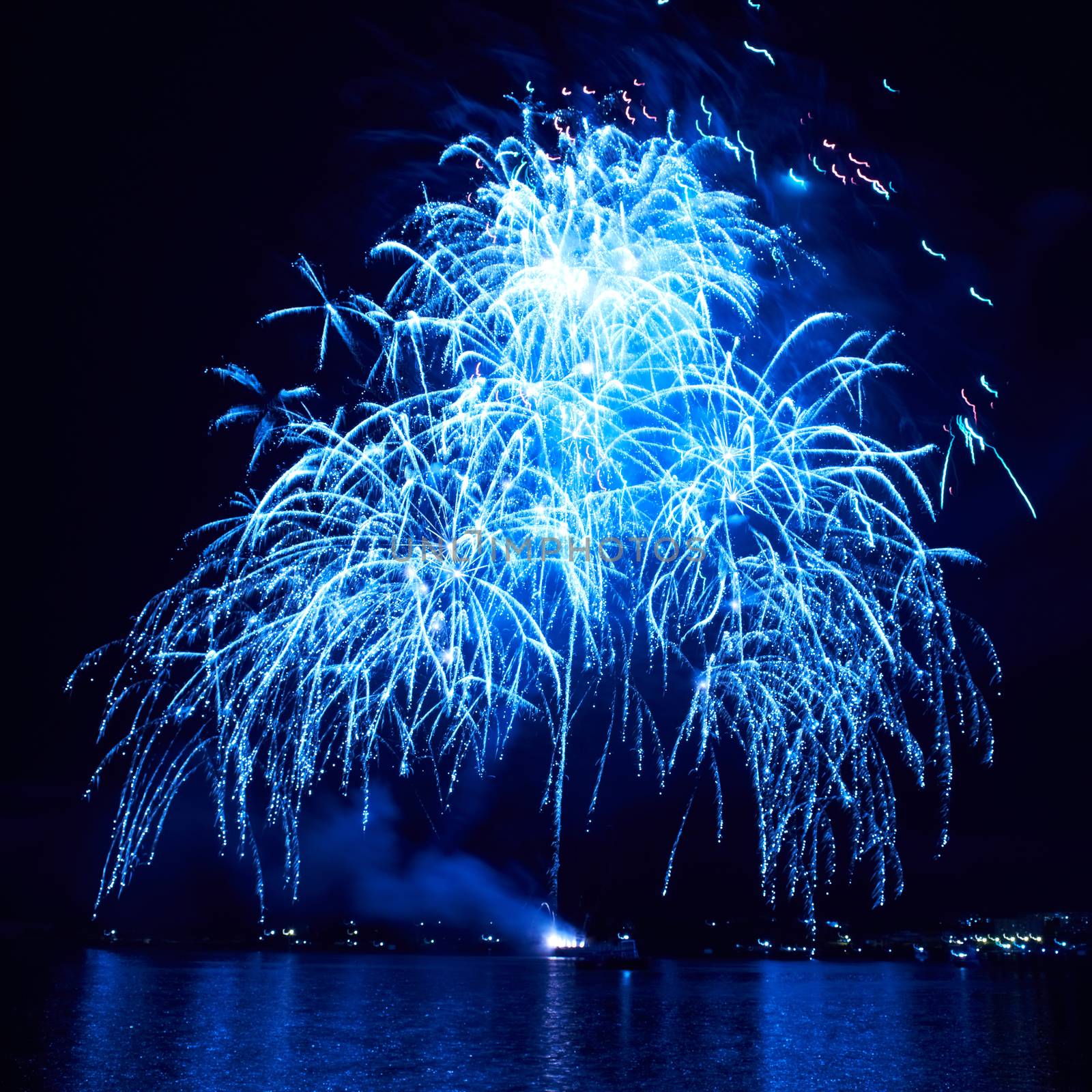 Blue colorful fireworks on the black sky background