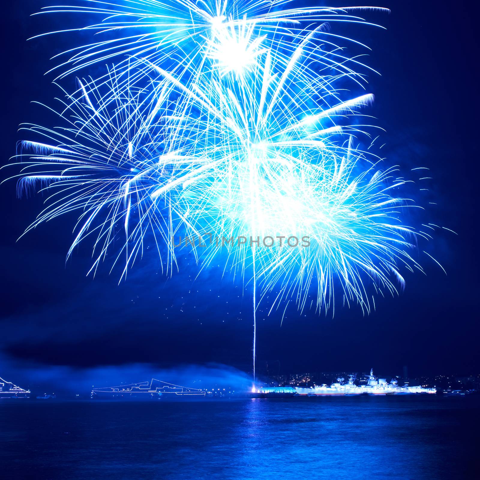 Blue colorful fireworks on the black sky background