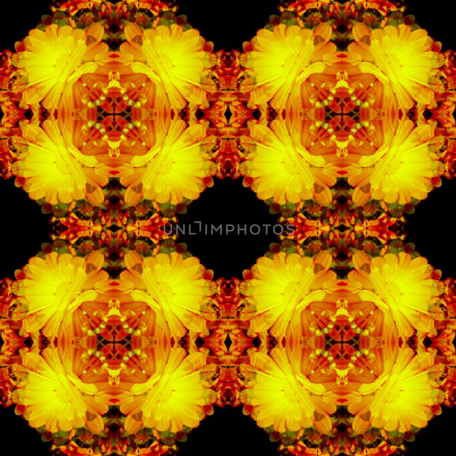 Seamless background pattern. Marigold flowers.  by Julia_Faranchuk