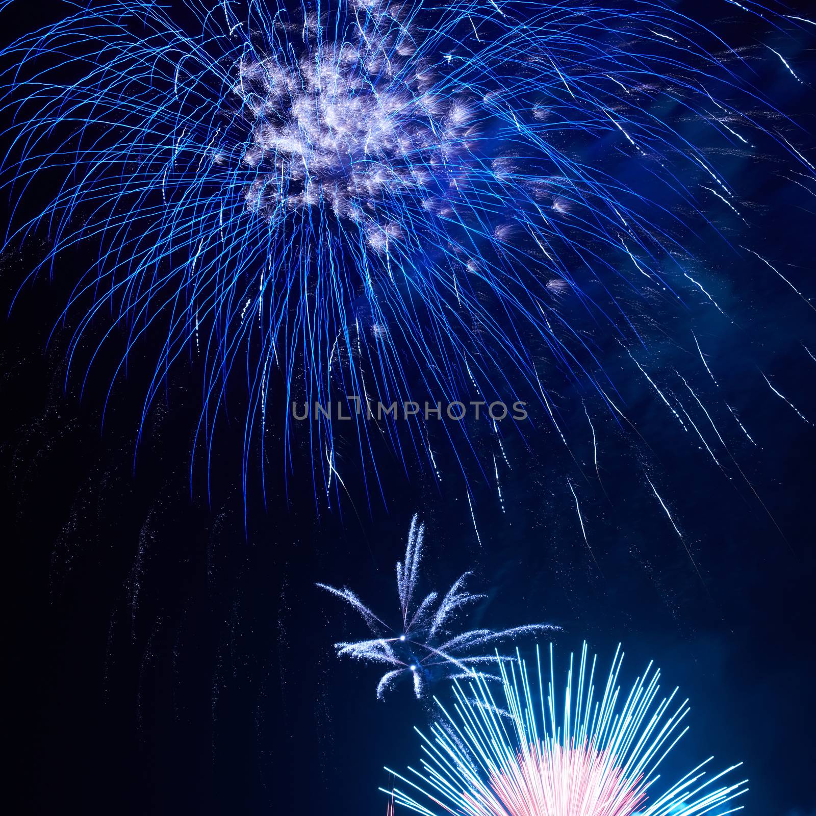 Blue colorful fireworks on the black sky background