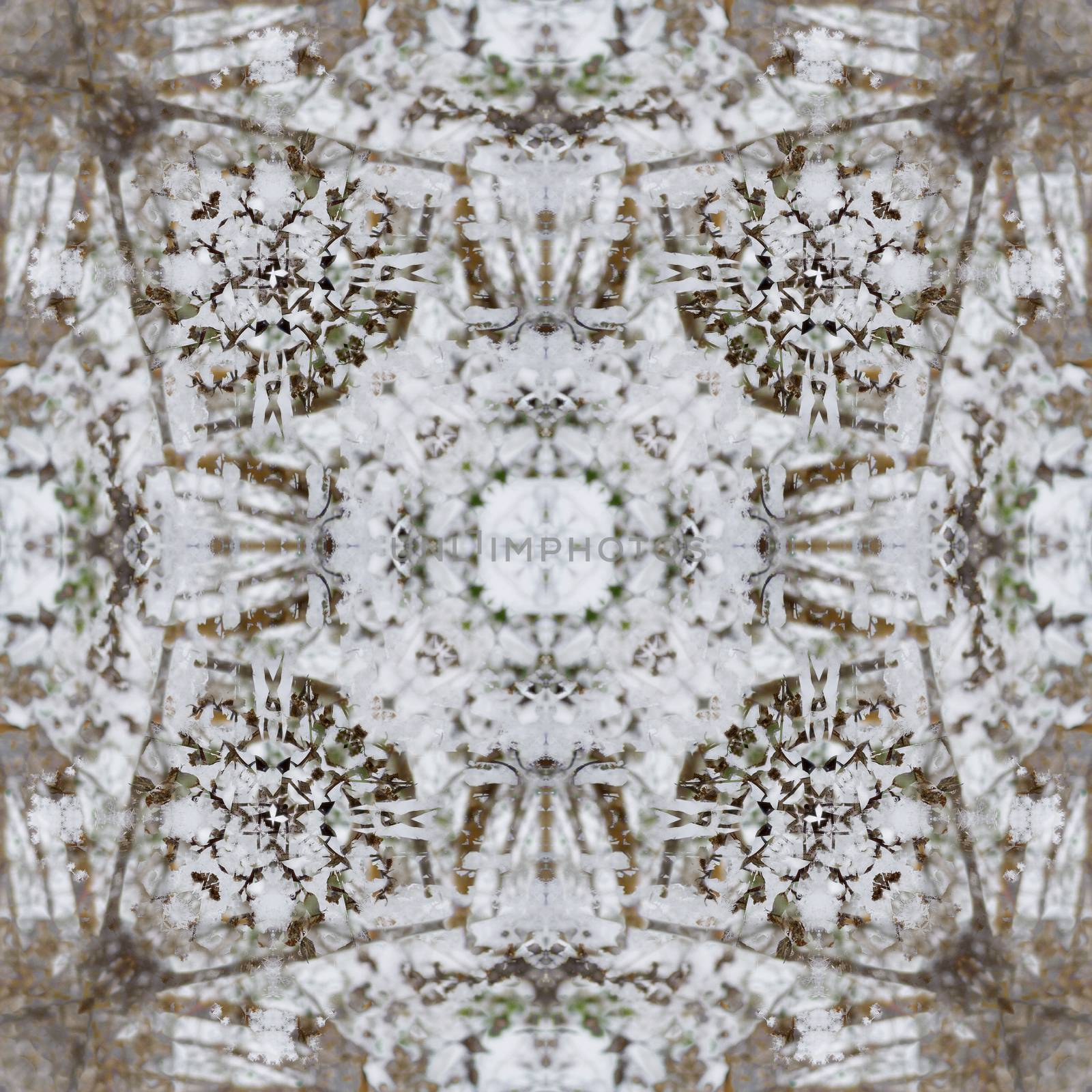 Seamless background pattern. Frosted crystal patterns by Julia_Faranchuk