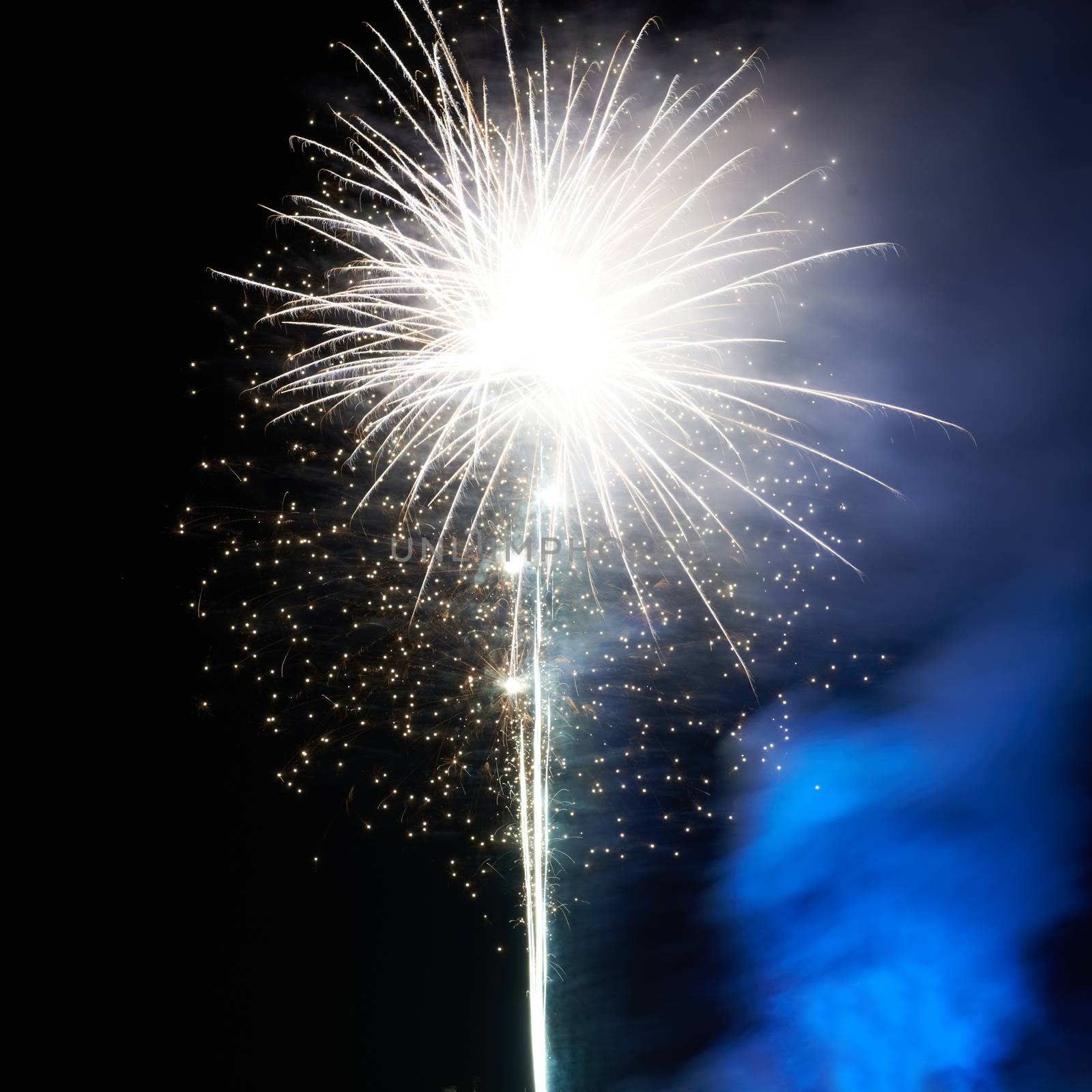 Colorful fireworks on the black sky background