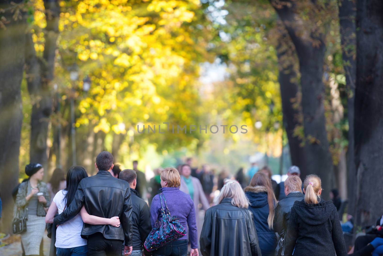 Walking people in the fallen park with orange trees