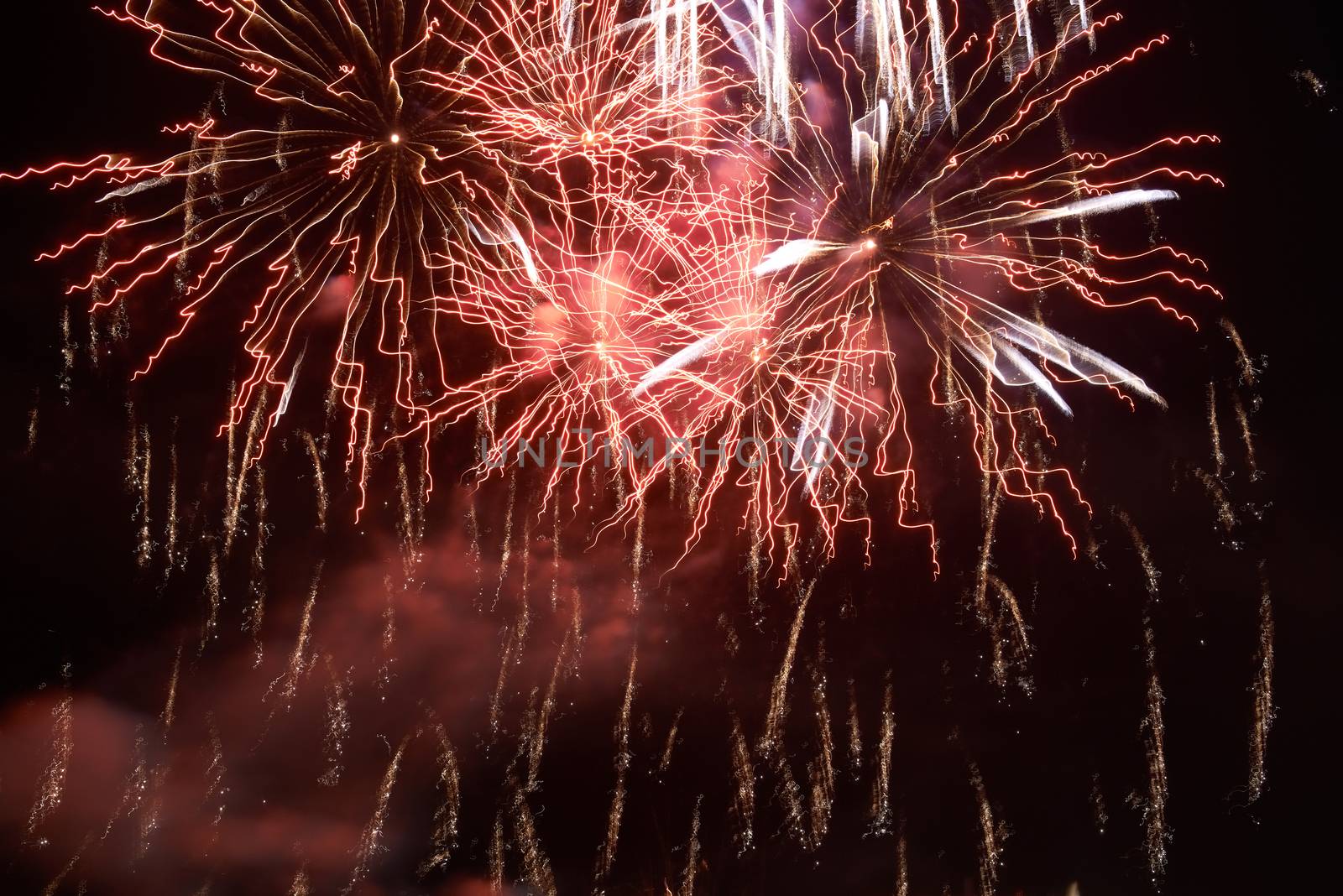 Red colorful fireworks on the black sky background