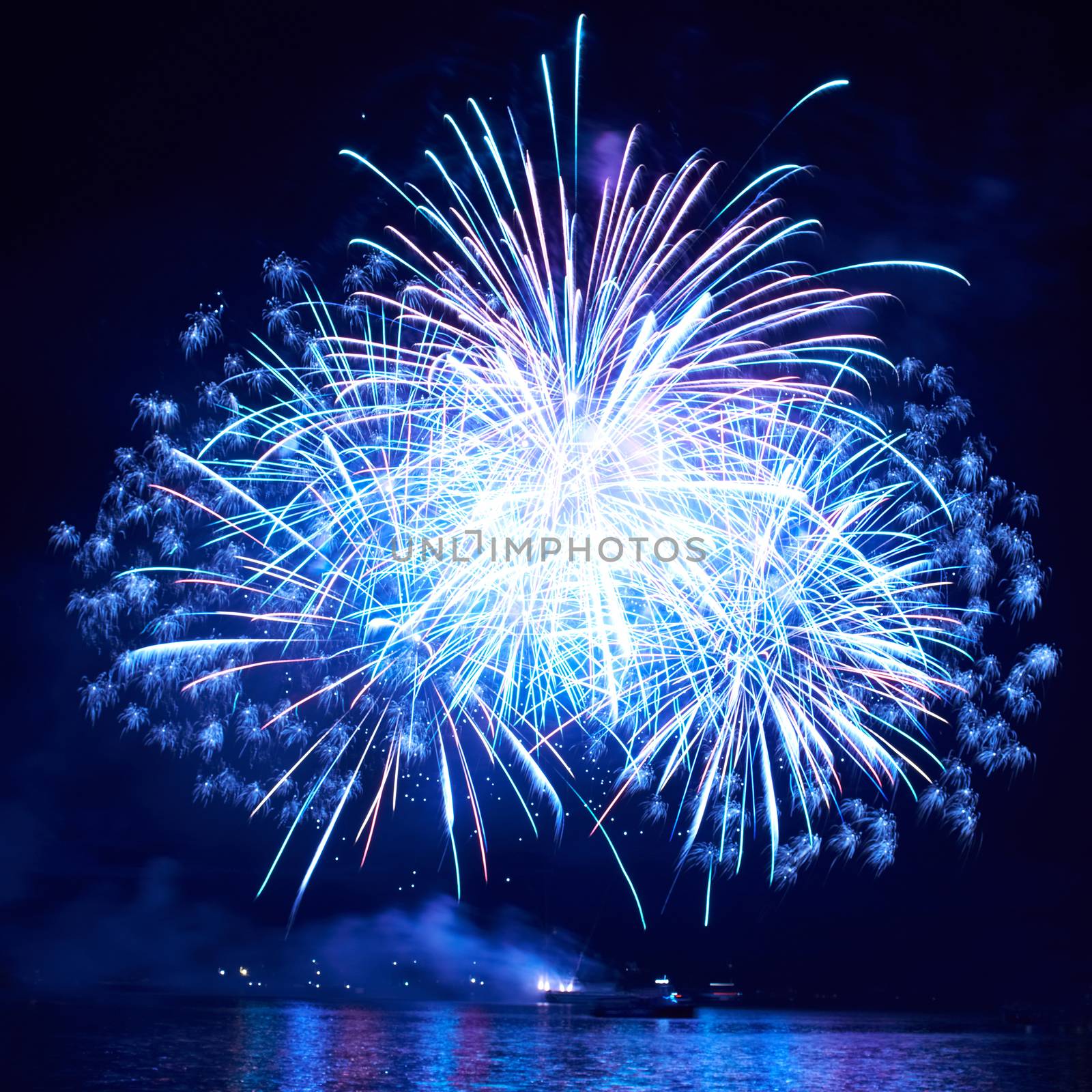 Blue colorful fireworks on the black sky background