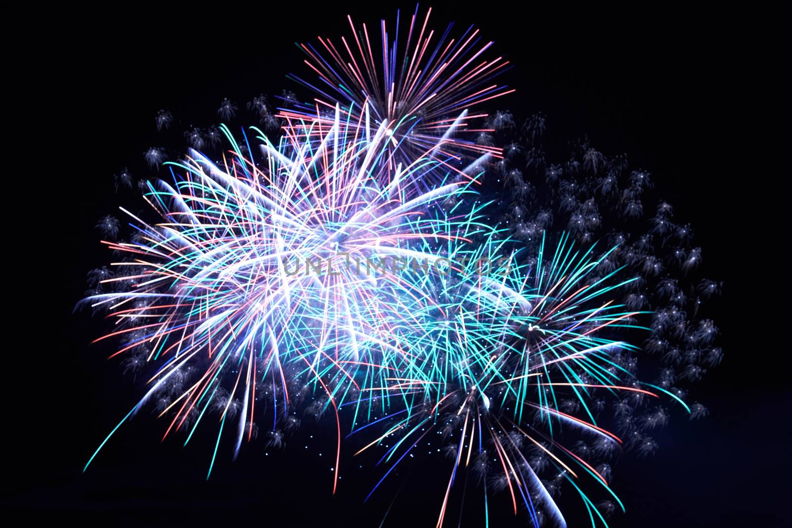 Blue colorful fireworks on the black sky background