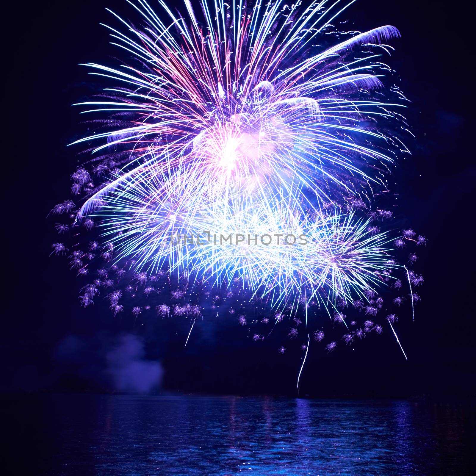 Blue colorful fireworks on the black sky background