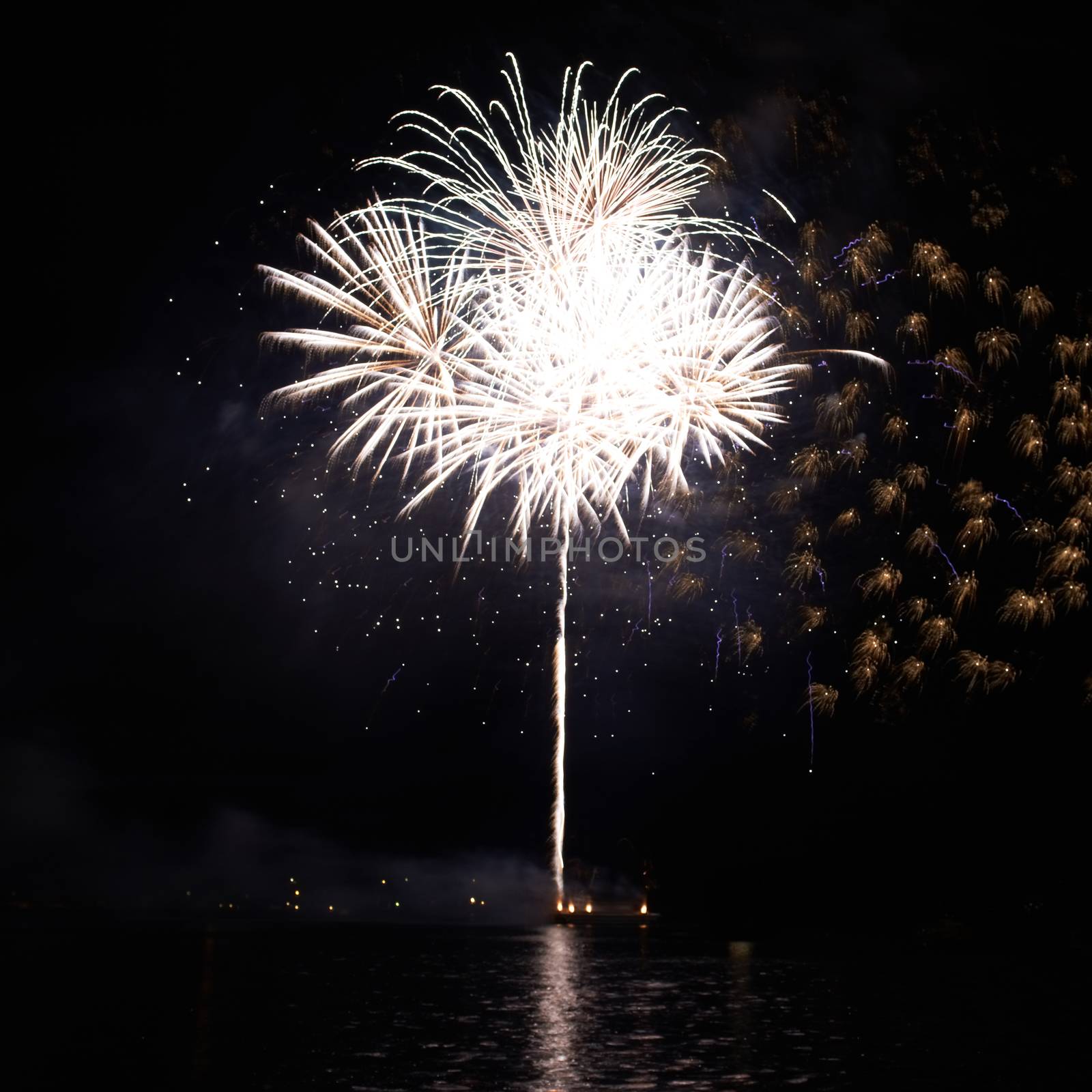 White fireworks on the black sky background