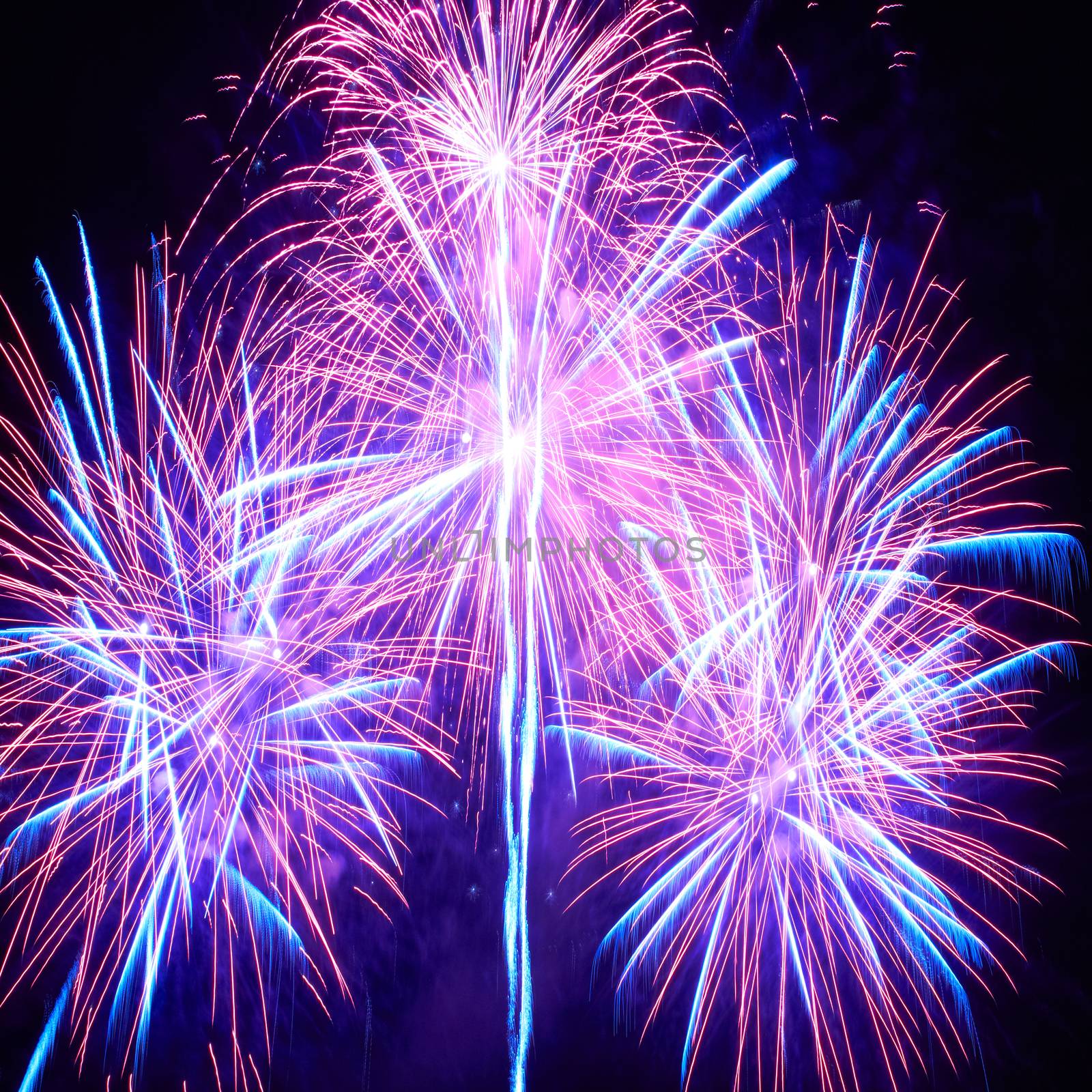 Blue colorful fireworks on the black sky background