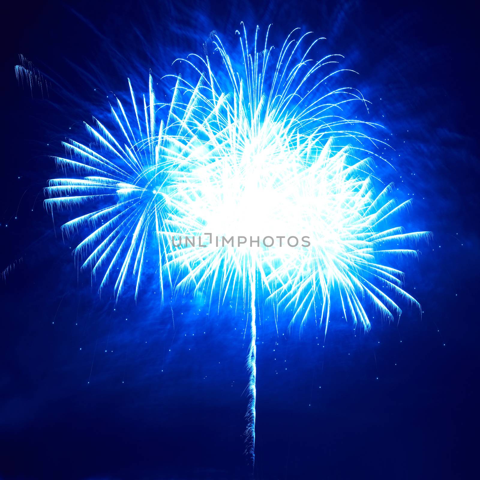 Blue colorful fireworks on the black sky background