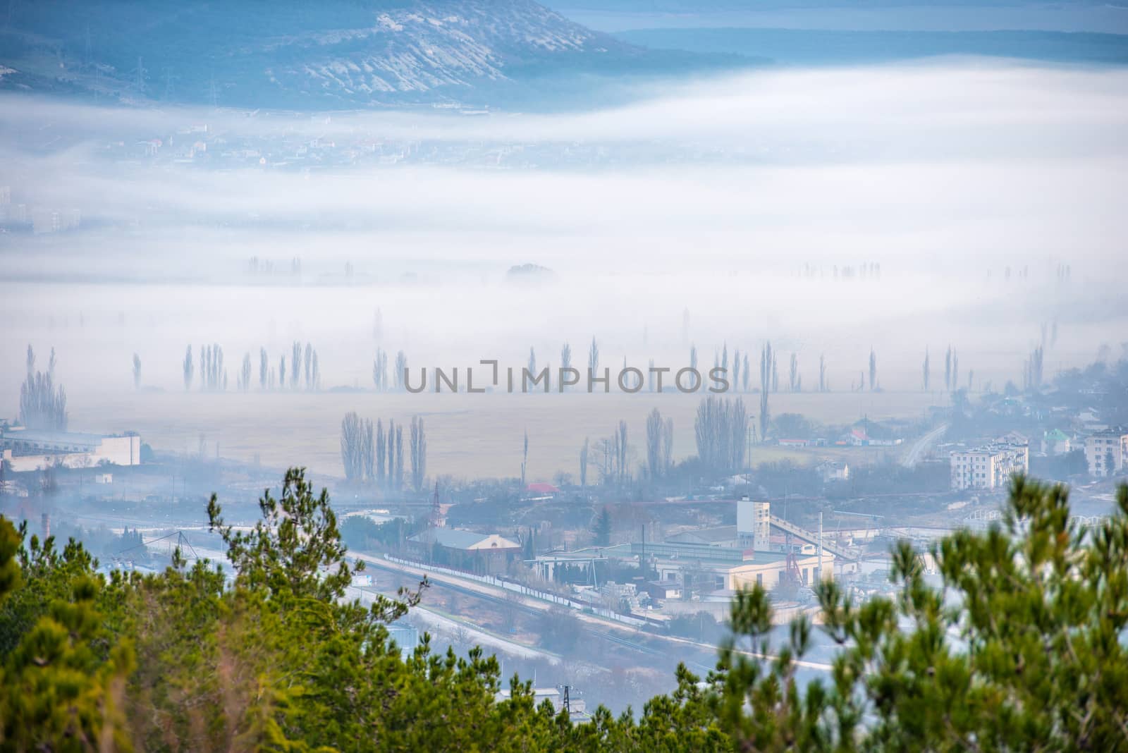 Misty town with trees and buildings against sunset