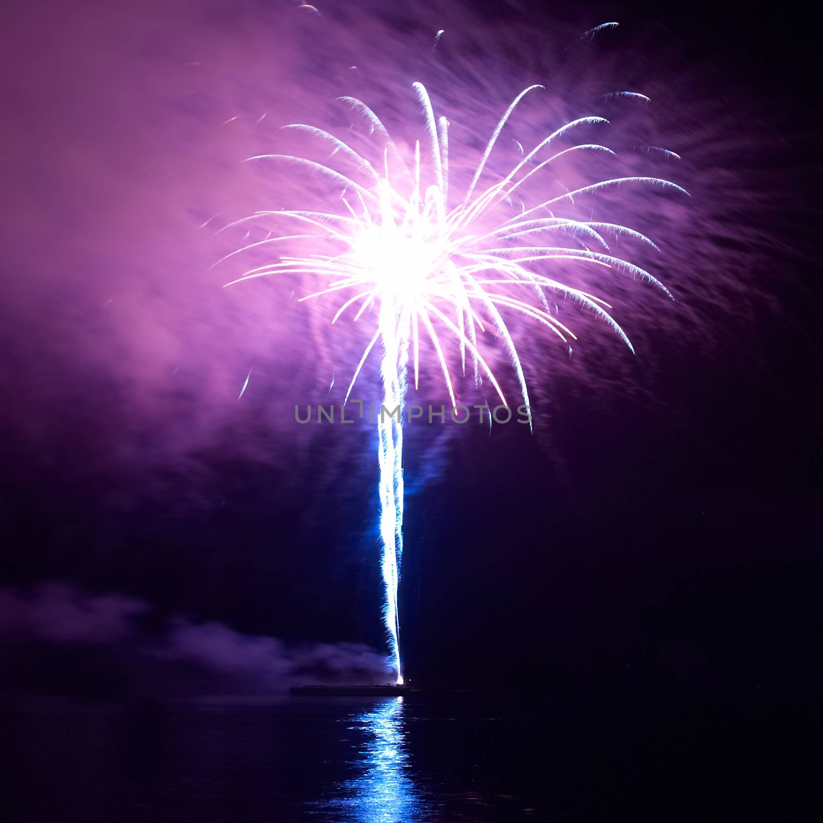 Colorful holiday fireworks on the black sky background.