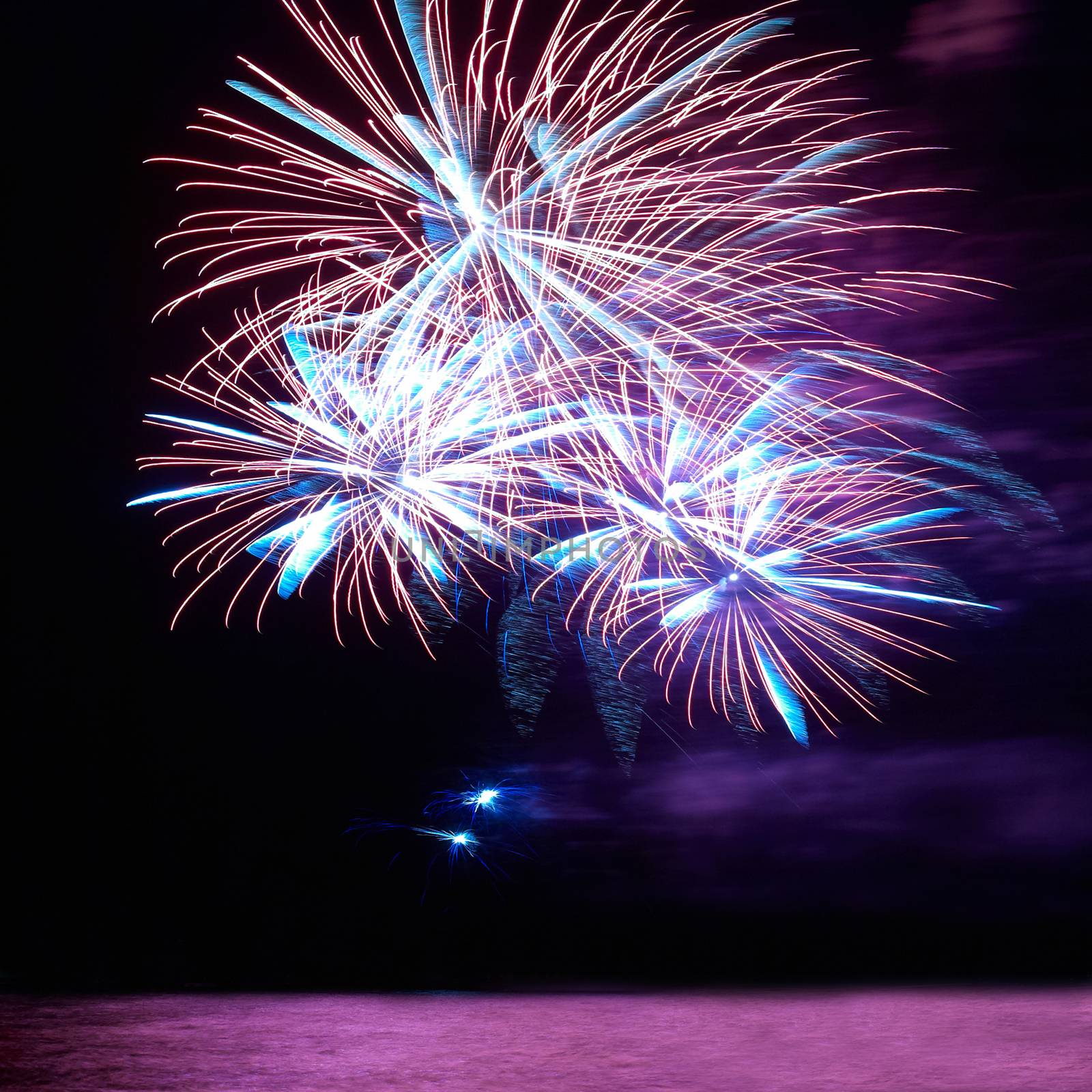 Blue and red colorful holiday fireworks on the black sky background.