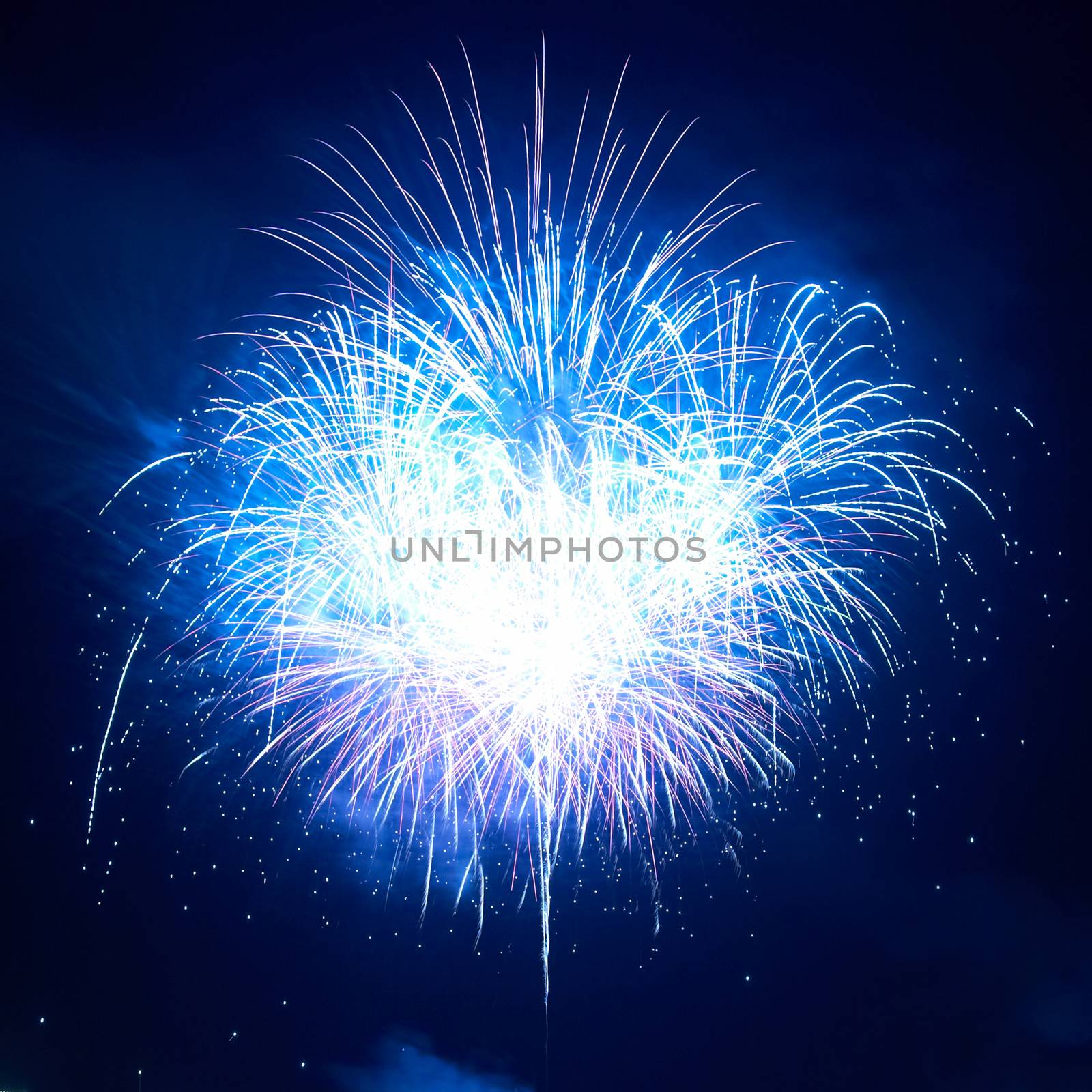 Blue colorful holiday fireworks on the black sky background.