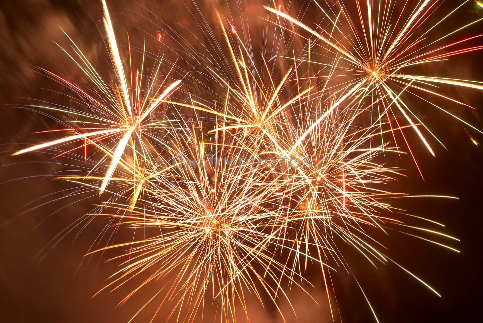 Red colorful fireworks on the black sky background. Holiday celebration.